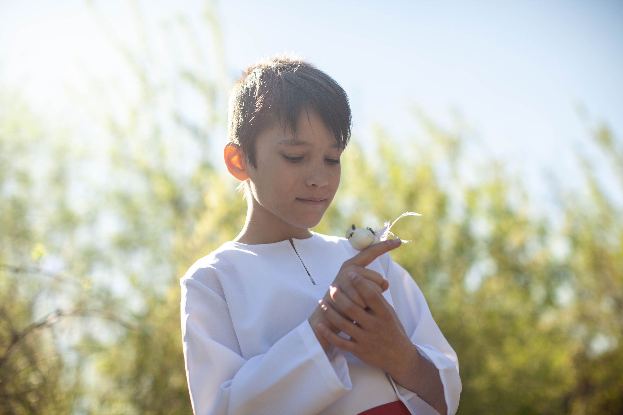 Летний день. Art my Pho