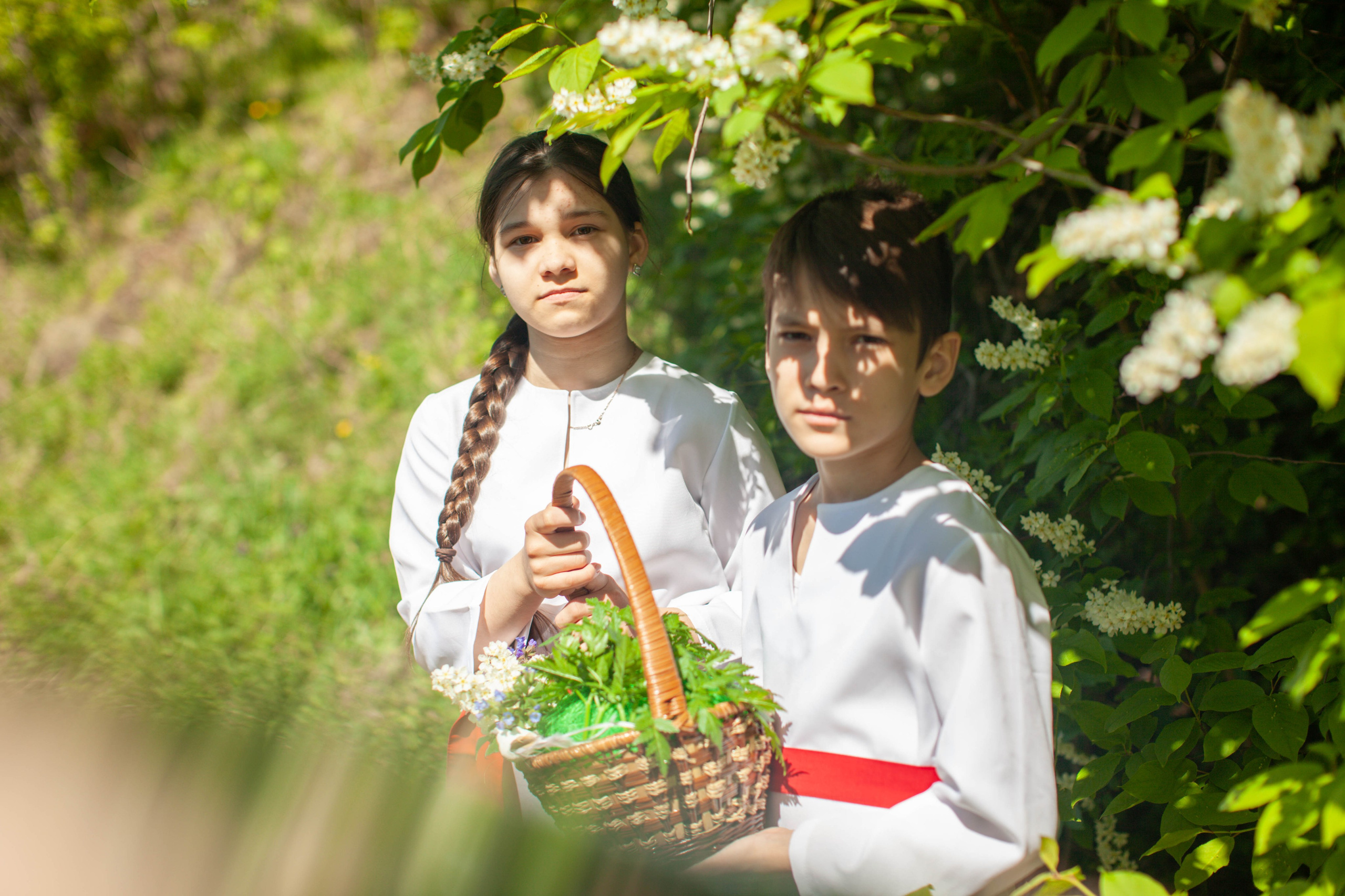 Летний день. Art my Pho