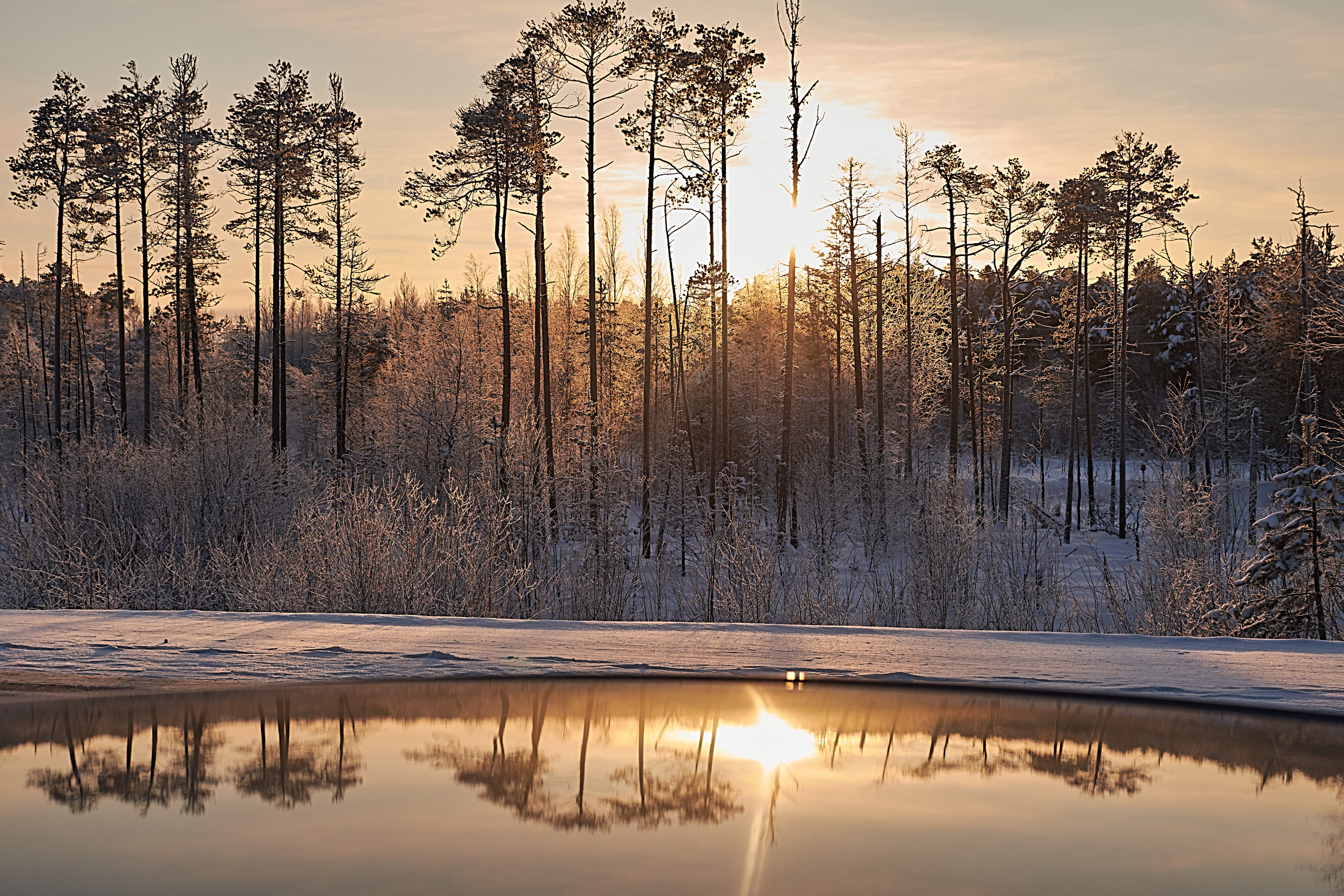Наша природа. Ольга Злобина фотограф Пойковский, ХМАО