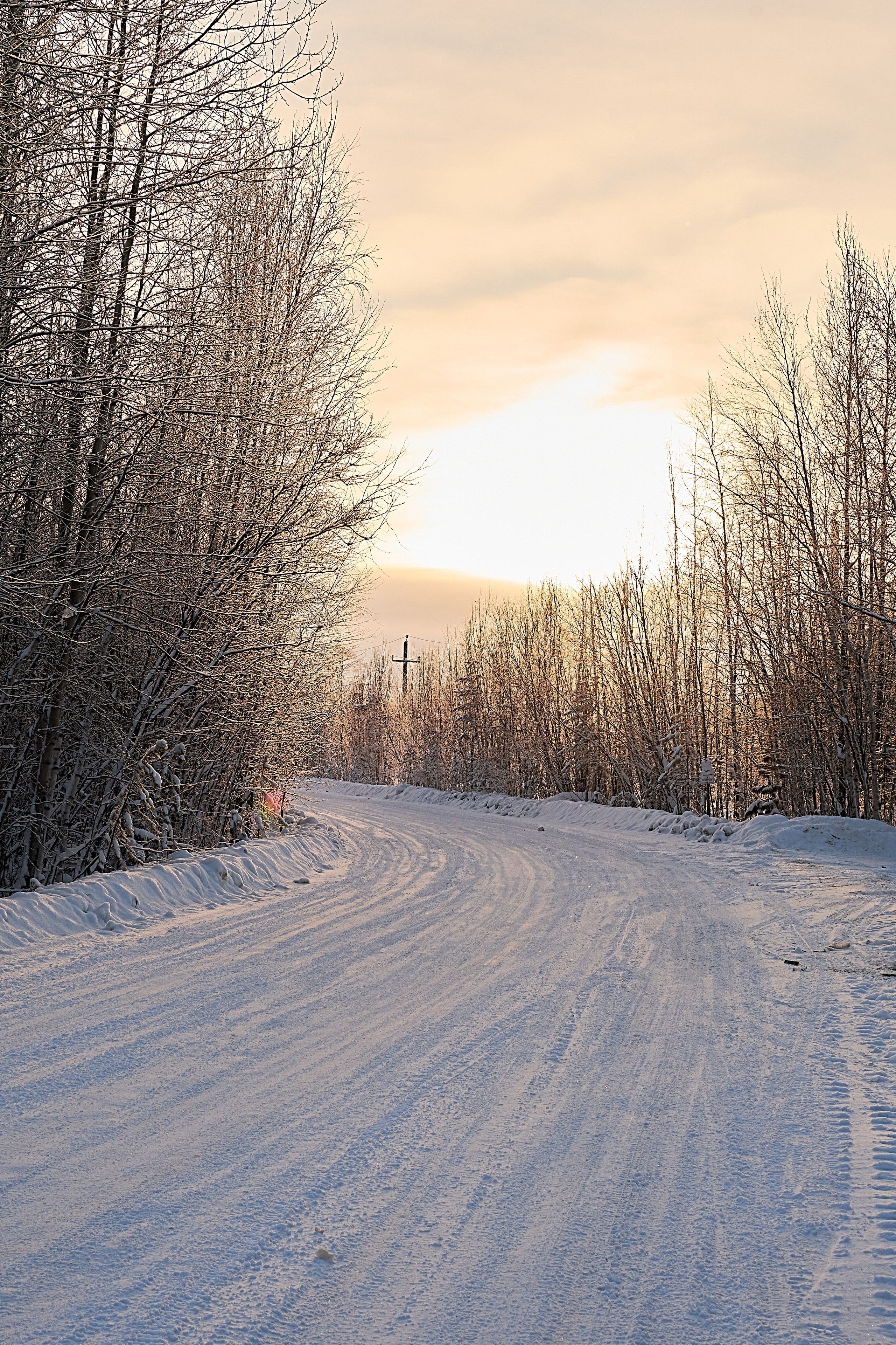 Наша природа. Ольга Злобина фотограф Пойковский, ХМАО