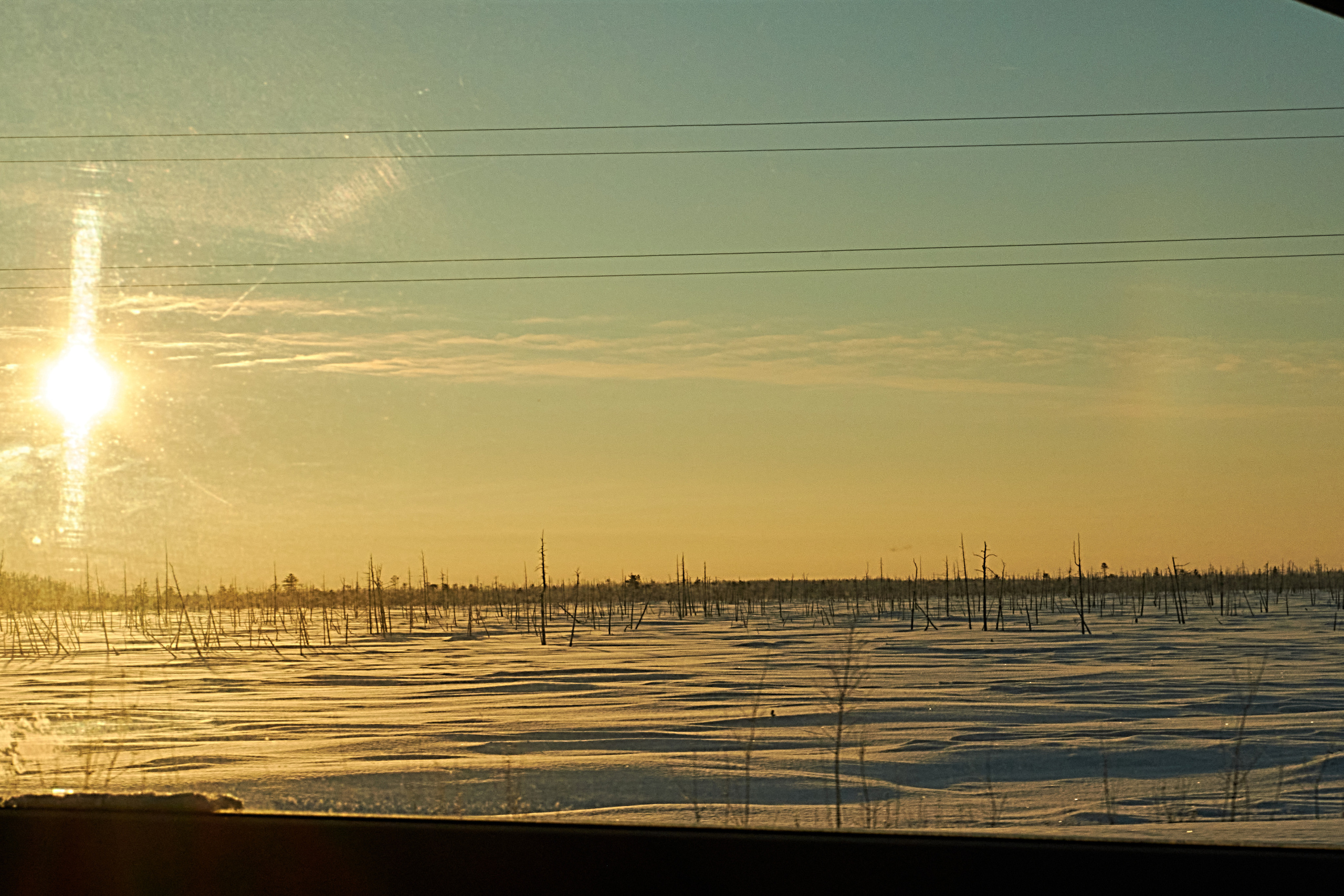 Наша природа. Ольга Злобина фотограф Пойковский, ХМАО