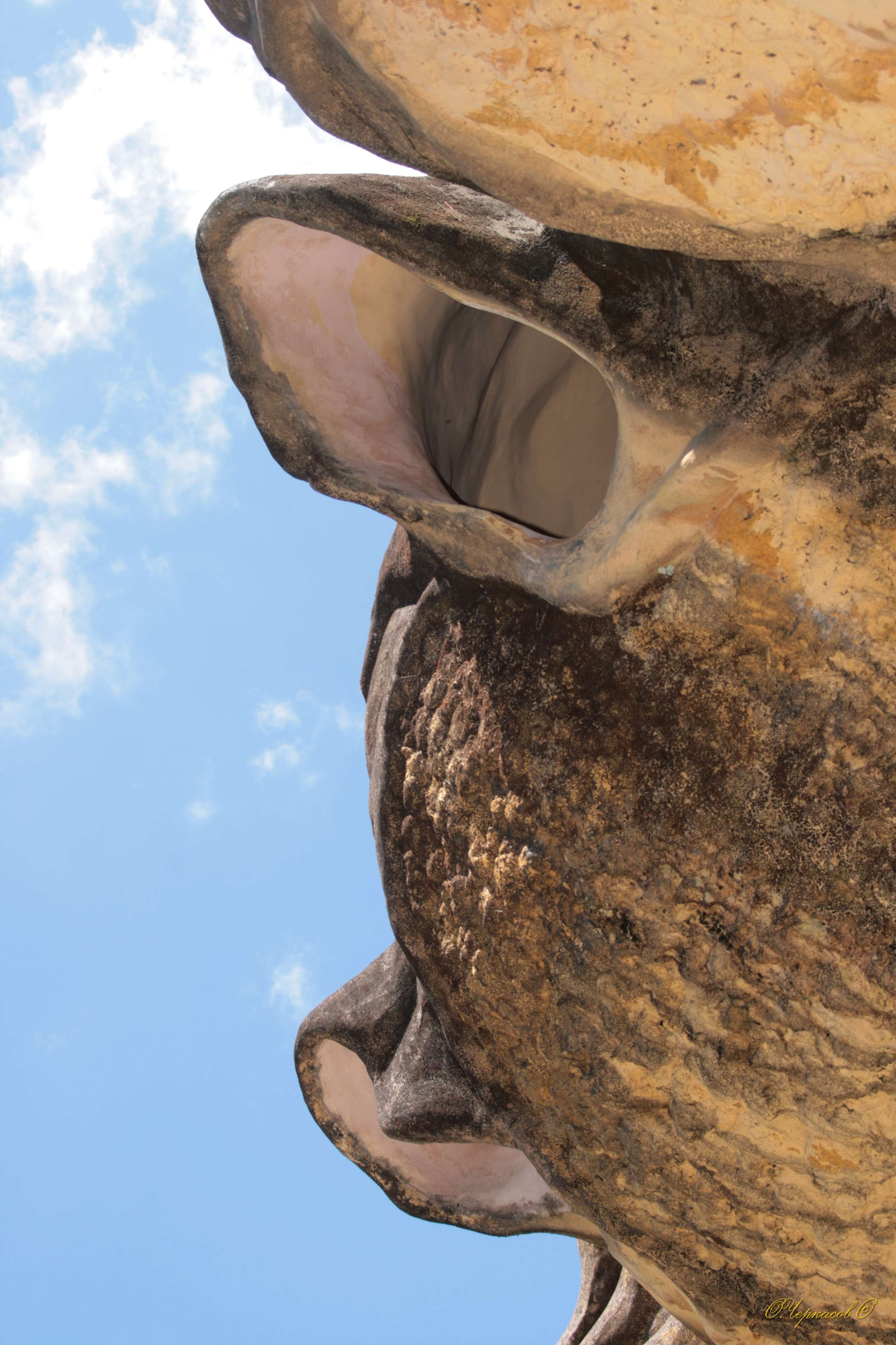 Вьетнам 2008 г. Улица, люди, жизнь…