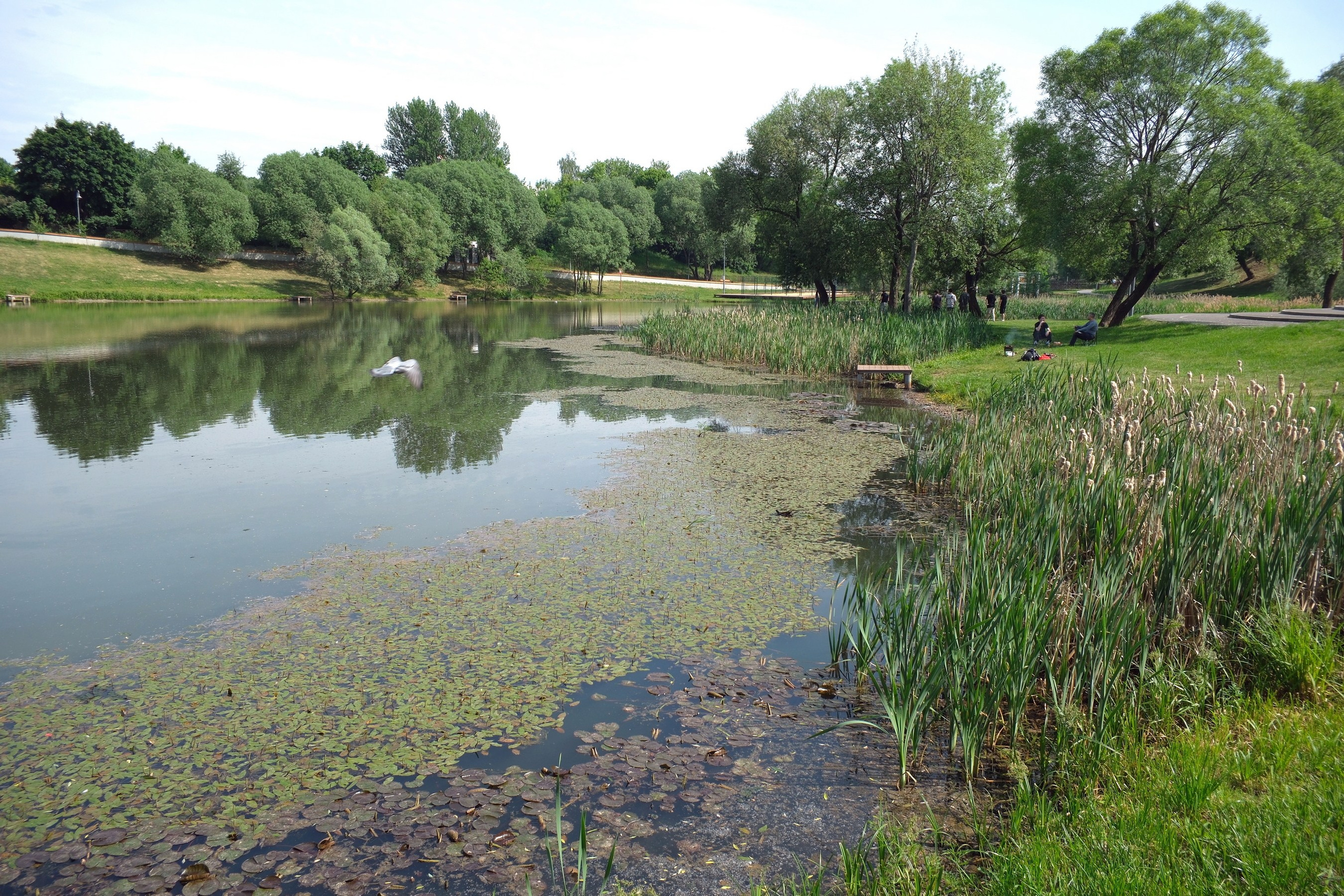 Улица, люди, жизнь…