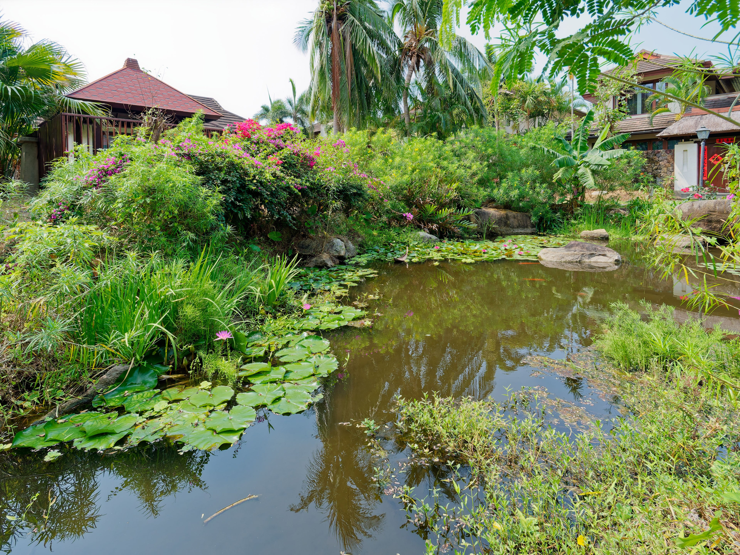Хайнань 2026, отель «Stony Brook Villa Jianguo Resort Sanya 4*». Фотопрогулки по Миру