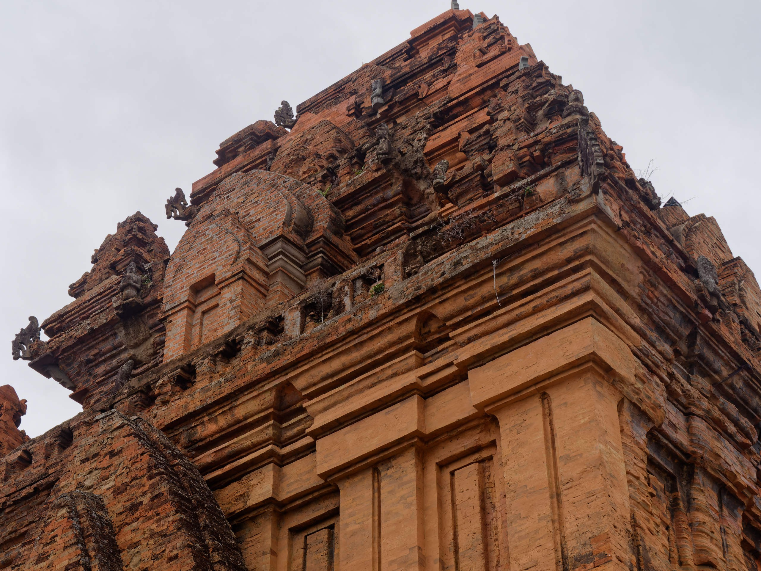 Нячанг 2025 (4). Избранные фотографии