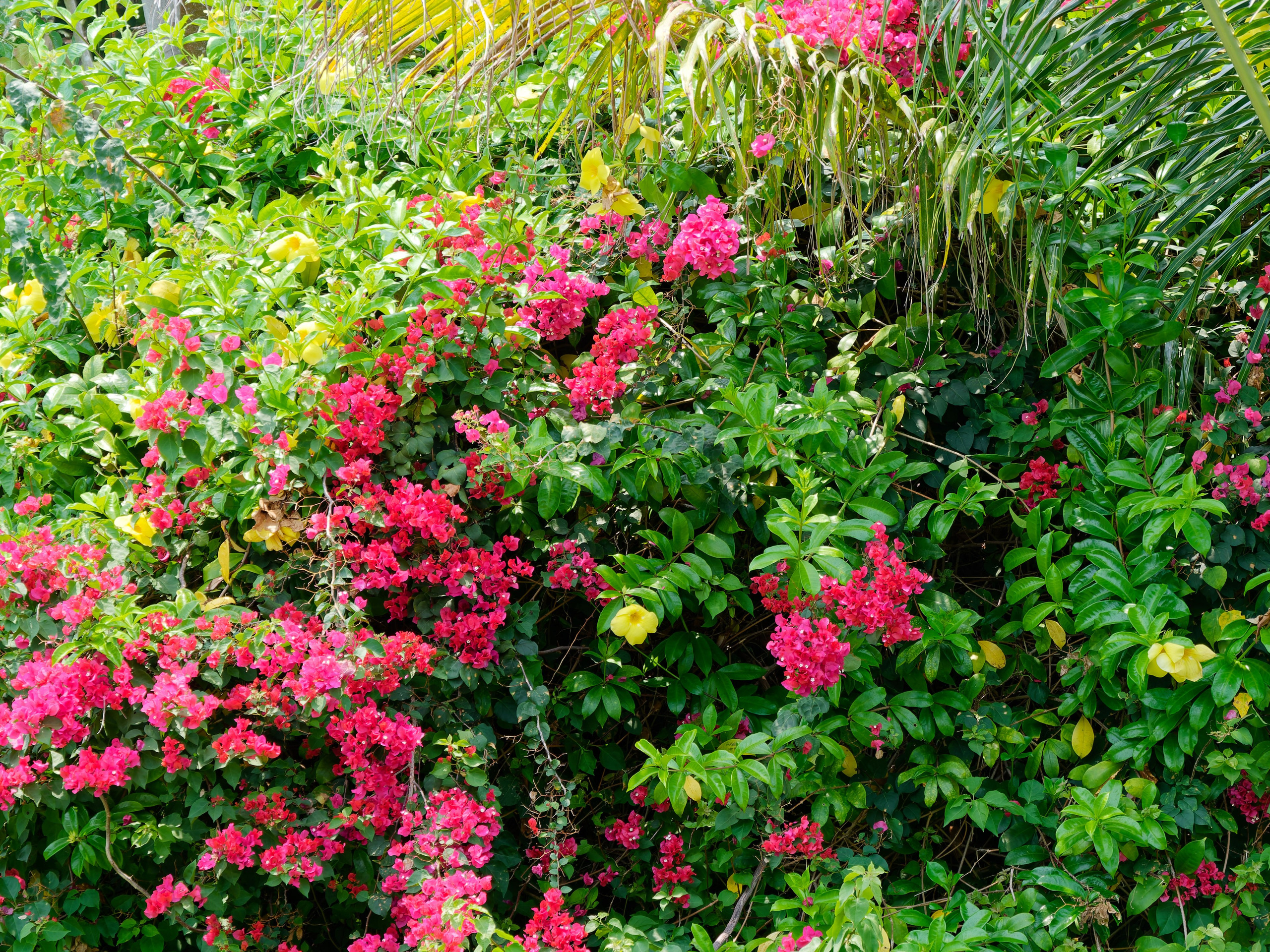 Хайнань 2026, Тур по буддийским храмам. Фотопрогулки по Миру