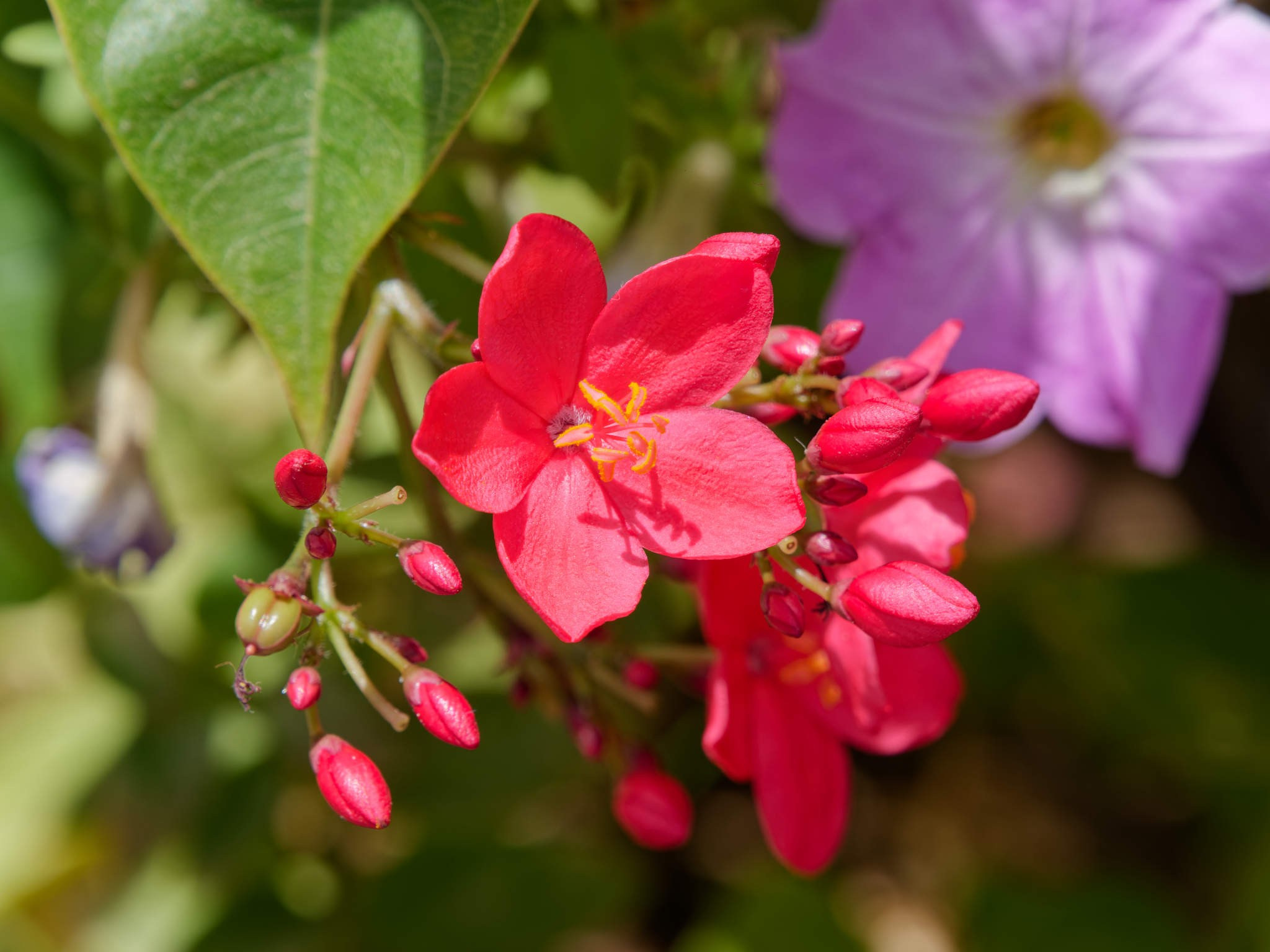 Шарм-эль-Шейх 2024. Избранные фотографии