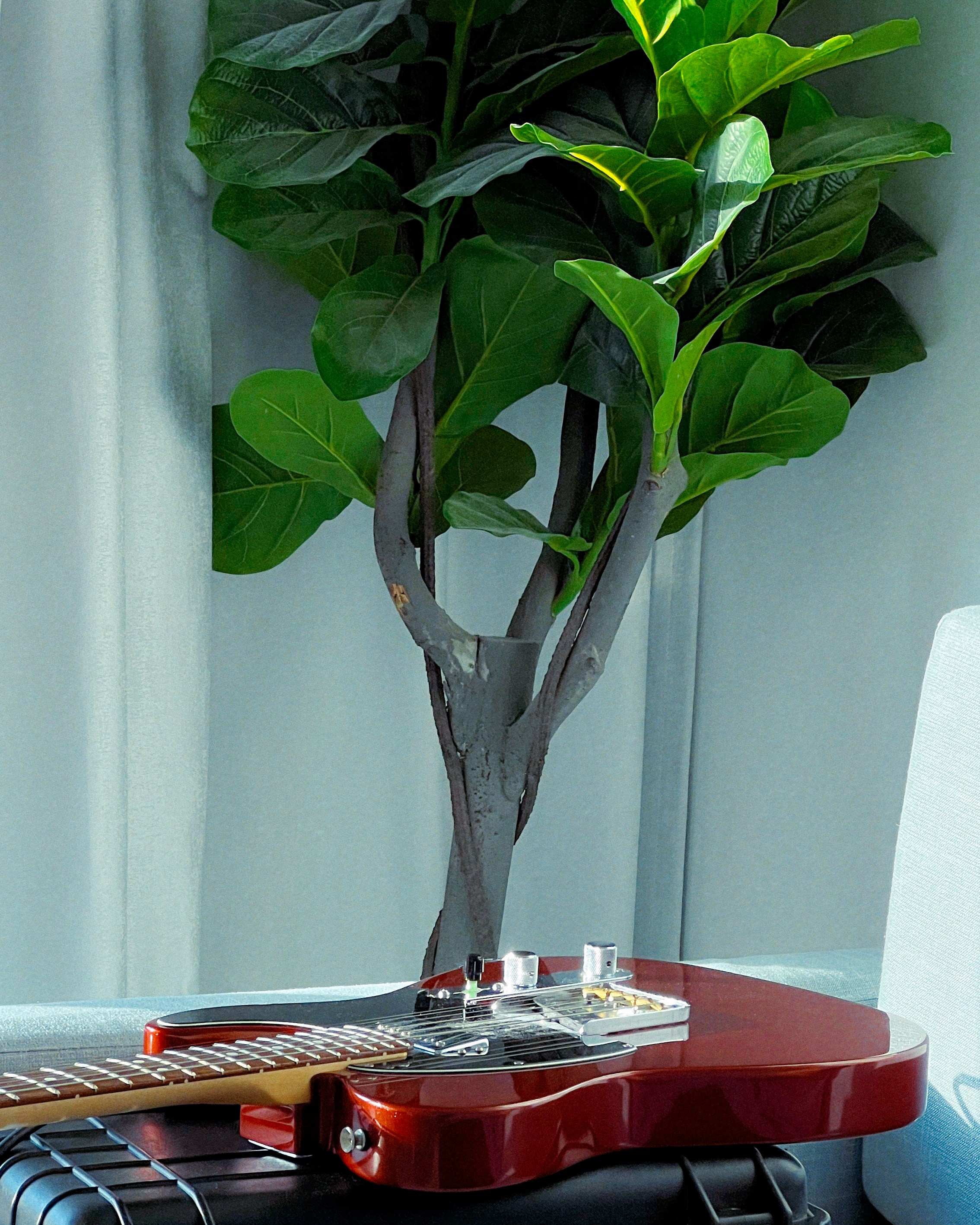 Мой мир. LAMOURCEVA | fashion photographer