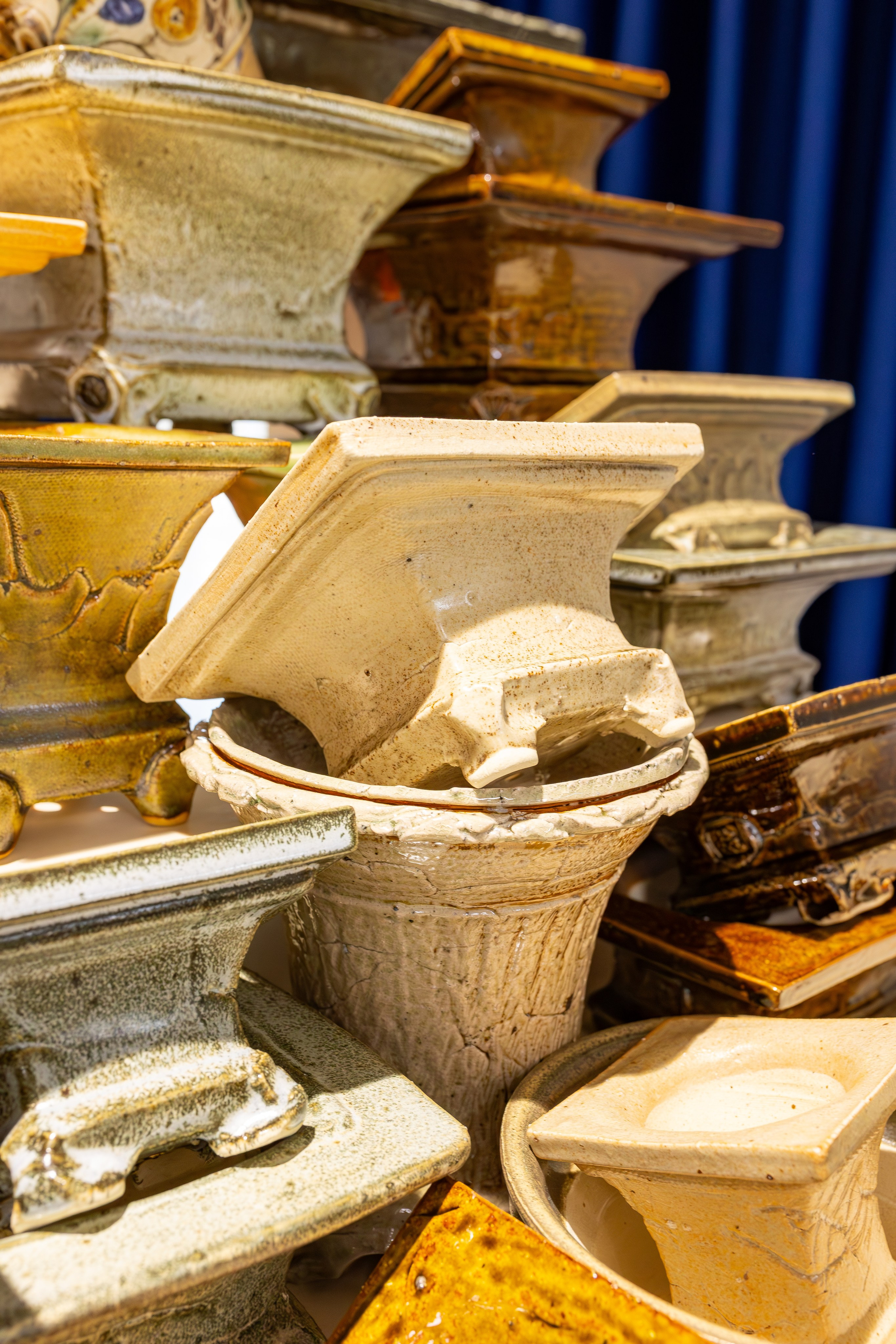 Орхидиум сентябрь 2025. Александра Куликова фотограф, Москва