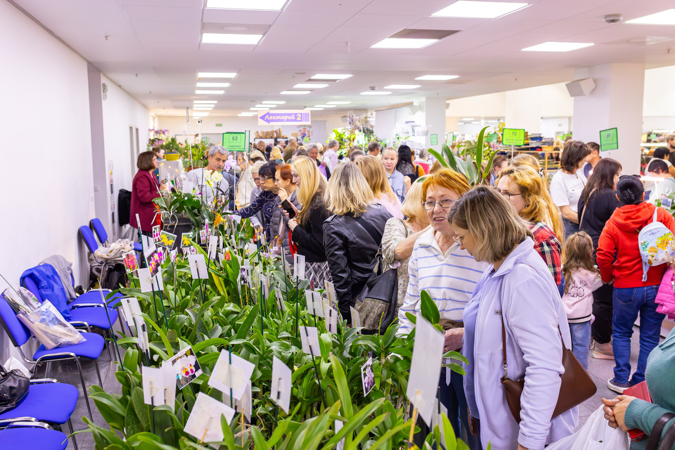Орхидиум сентябрь 2025. Александра Куликова фотограф, Москва