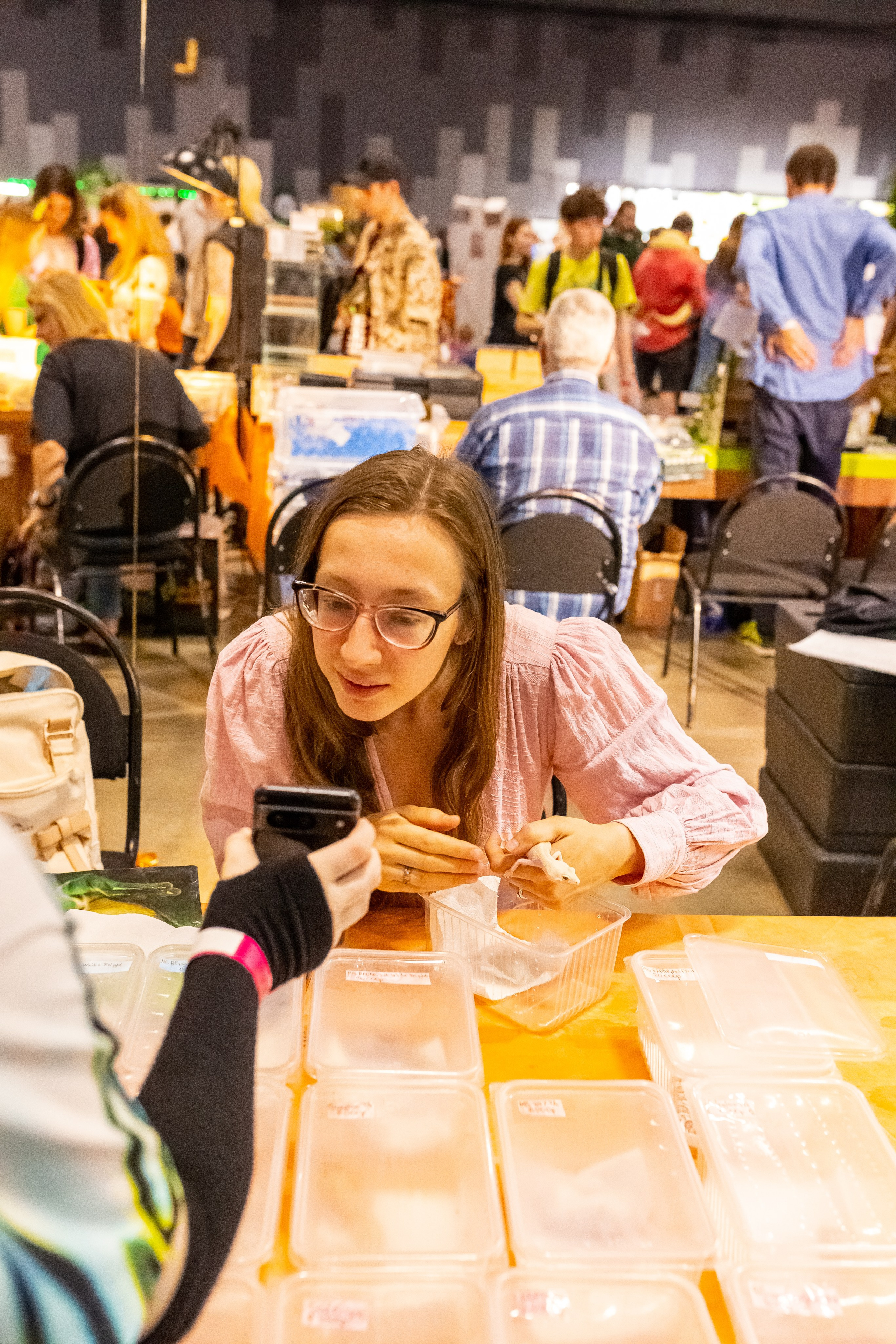 Рептилиум 2024. Александра Куликова фотограф, Москва