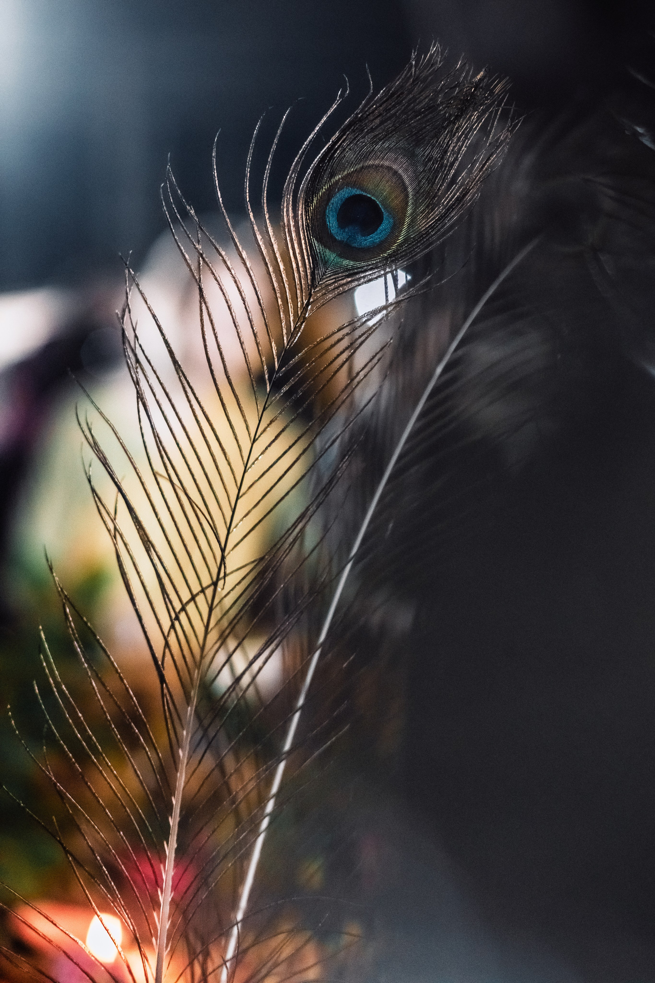Govardhana puja. Мариам Багдасарян