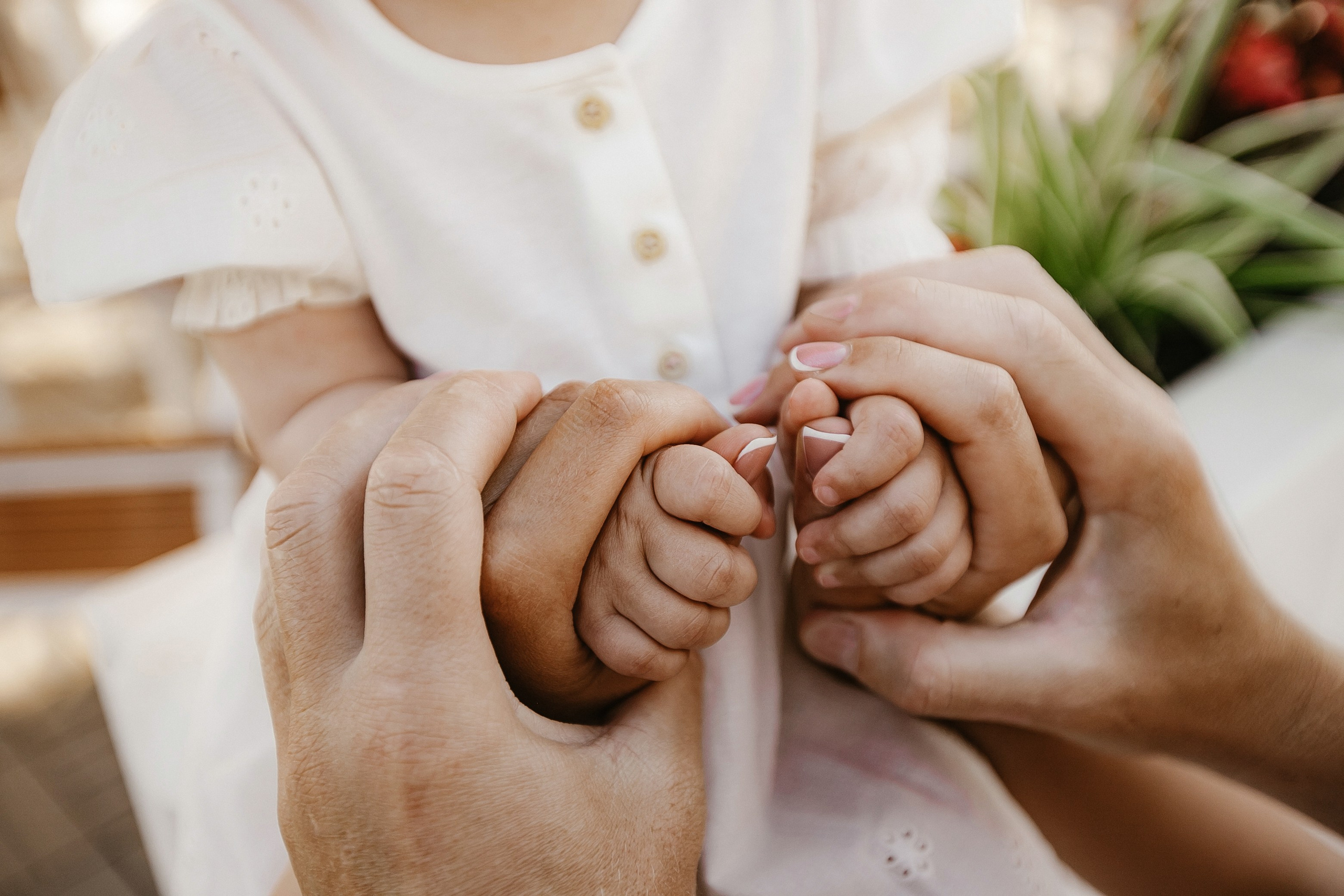 Sveta I Family. Свадебный фотограф в Севастополе и Крыму| Tanya Sher