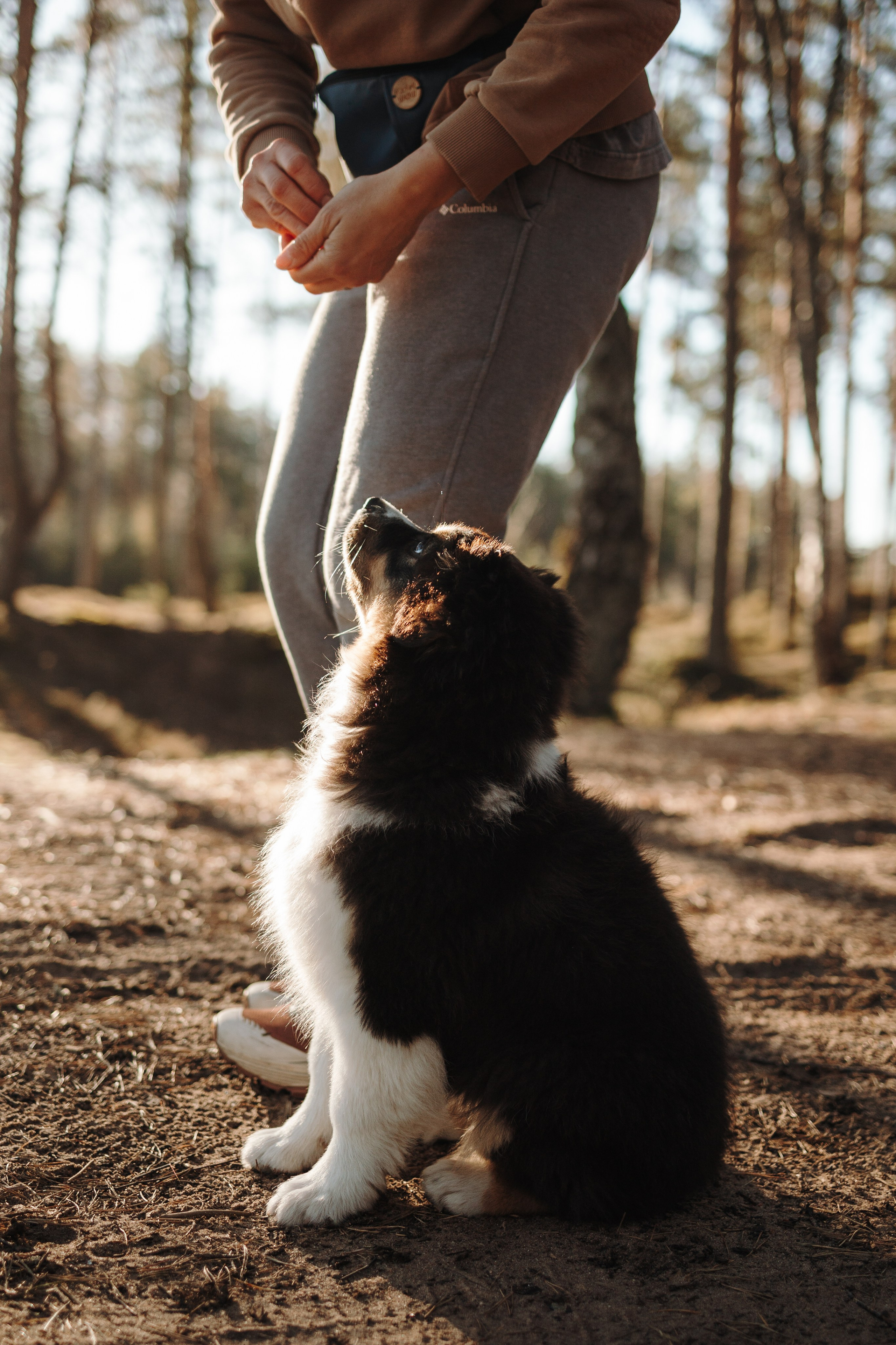 Ира и Шмель. Фотограф — Анималист | Санкт-Петербург
