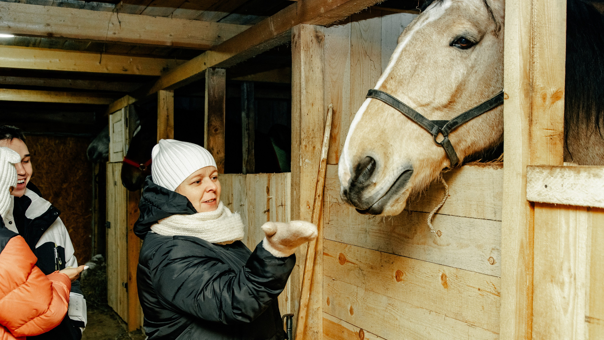 Миниферма в Теребочево. Свадебный и семейный фотограф в г. Волхов Алексей Кочерыжкин