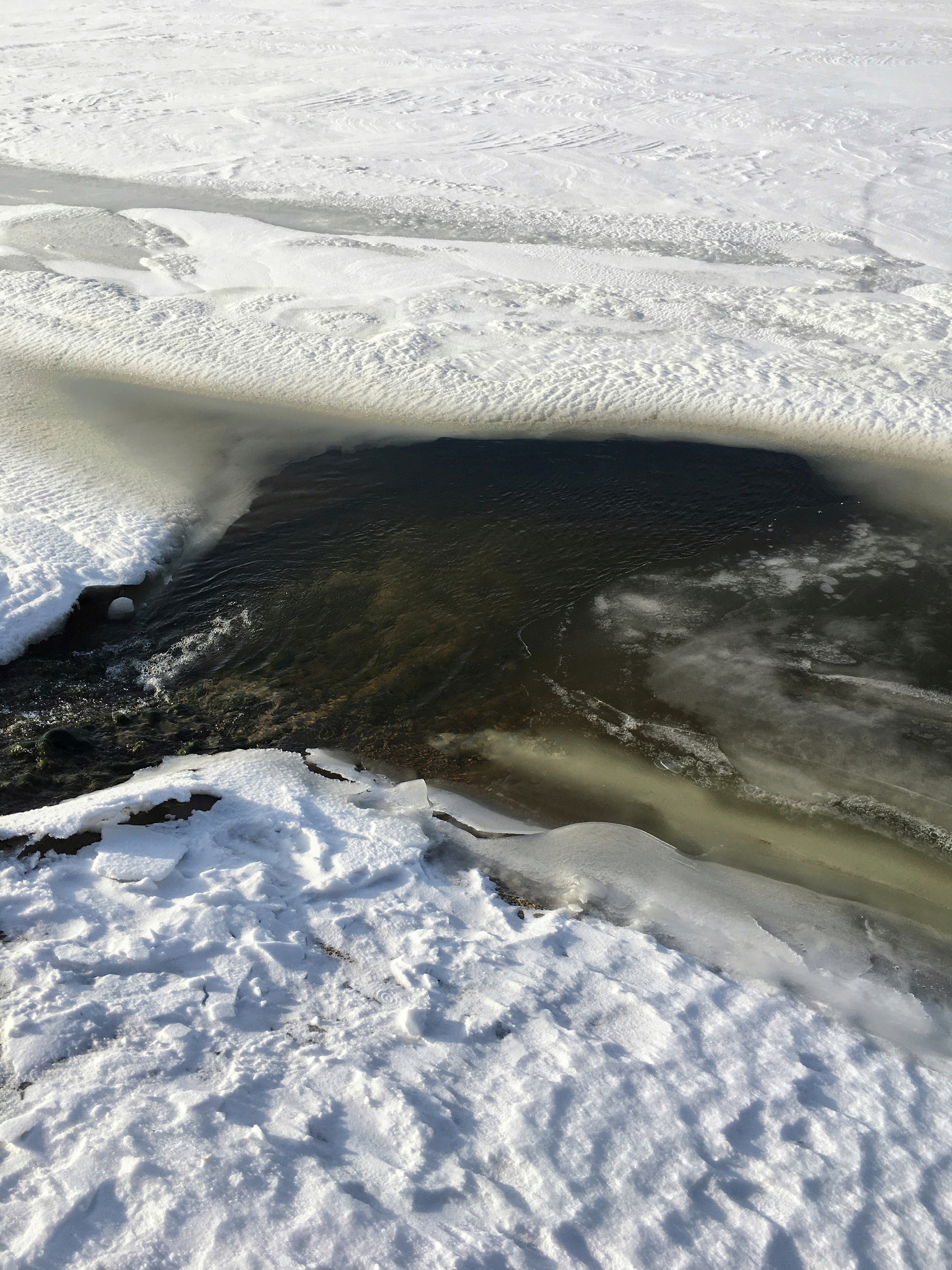 Journal. Photographer Dima Sharov | Фотограф Дима Шаров