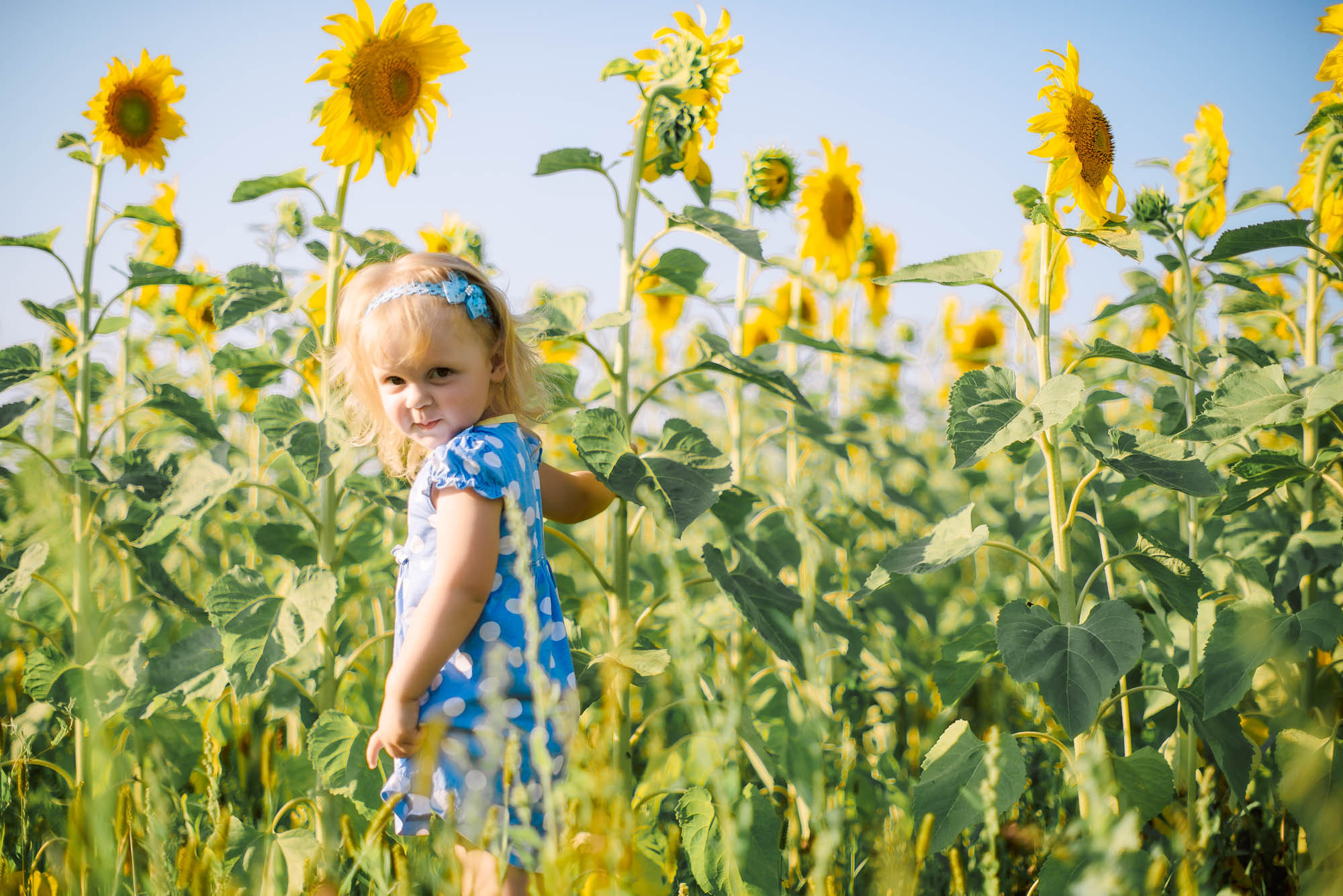 Семейная фотосессия милой пары с ребенком. Свадебный и семейный фотограф Ирина Чернова