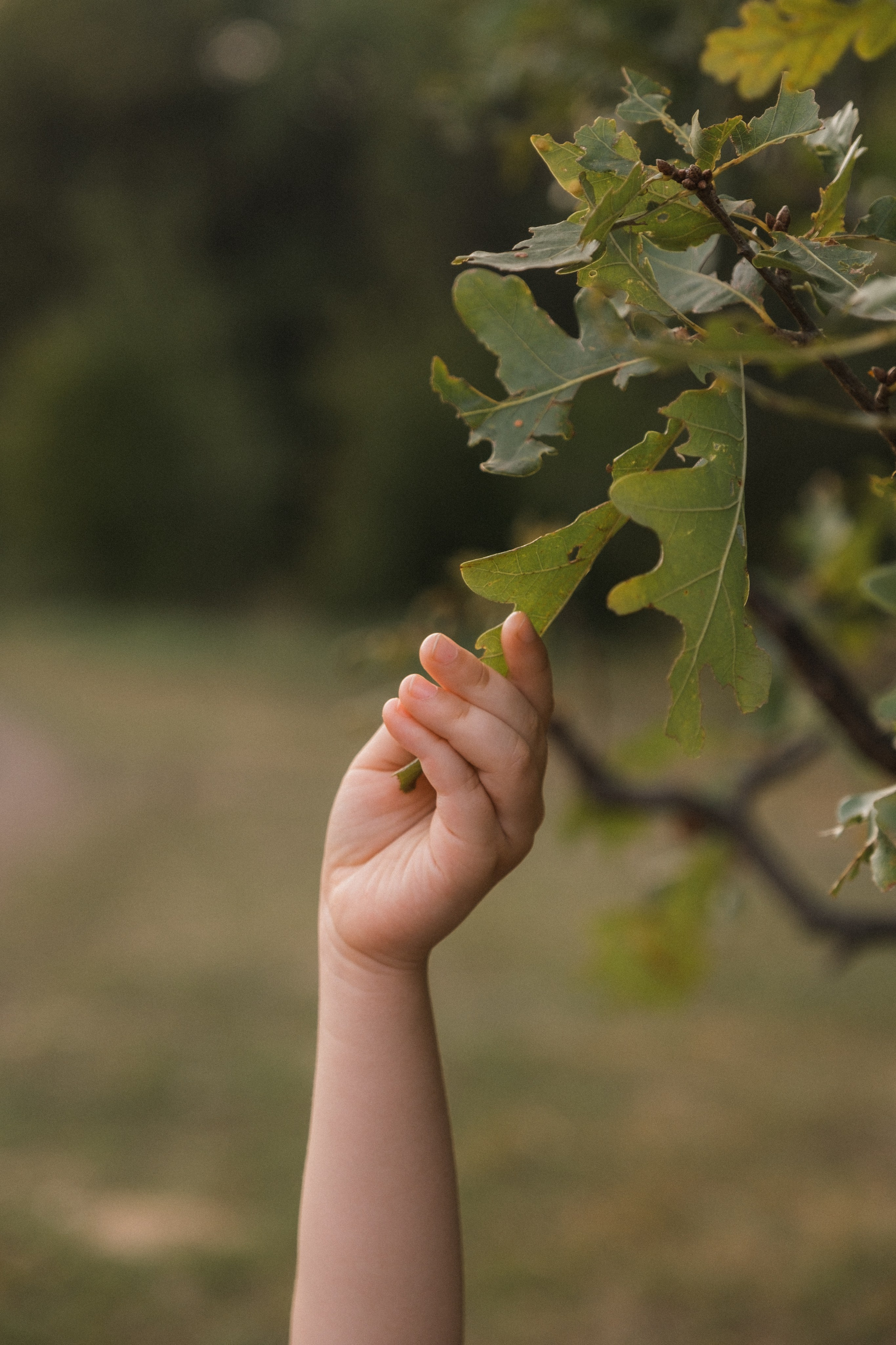 Юлия и София. Свадебный и семейный фотограф в Волгограде