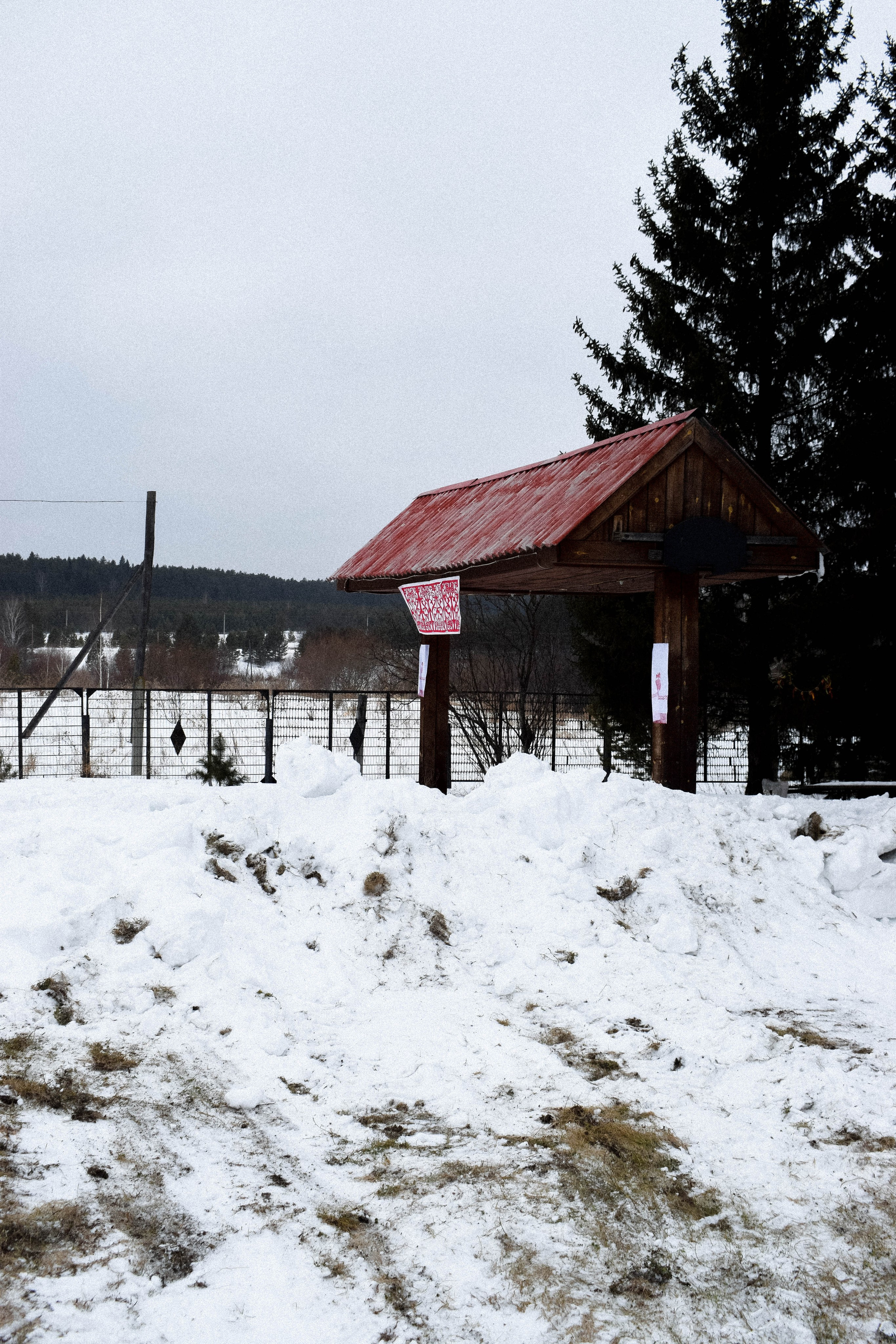 Мероприятия. Соня Мнема