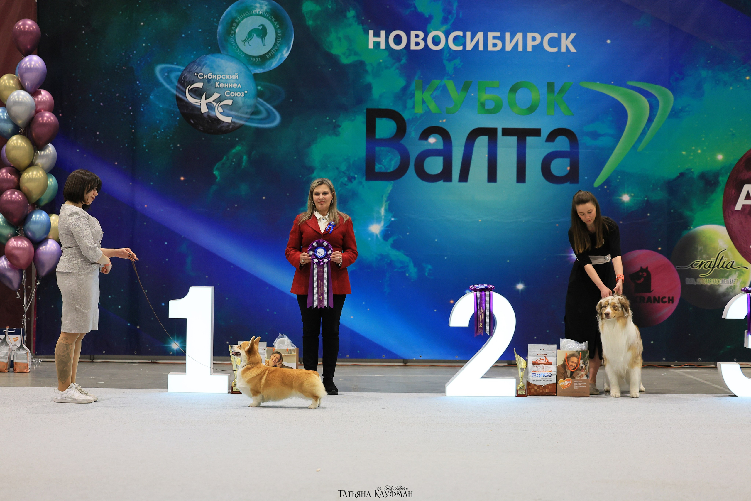 28-29.03.2026 Рейтинговая выставка в Новосибирске. Фотограф Анималист из Новосибирска Татьяна Кауфман