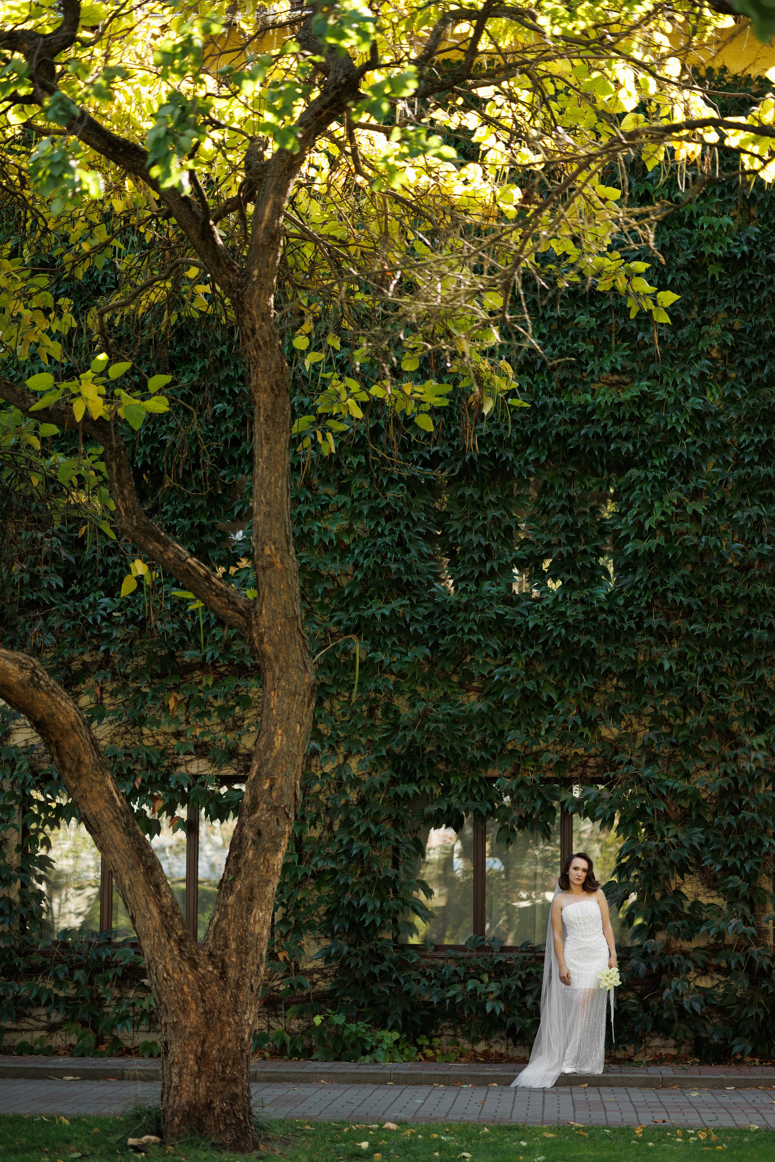 Ксения&Максим. Свадебный фотограф в Ростове-на-Дону Базарова Анастасия