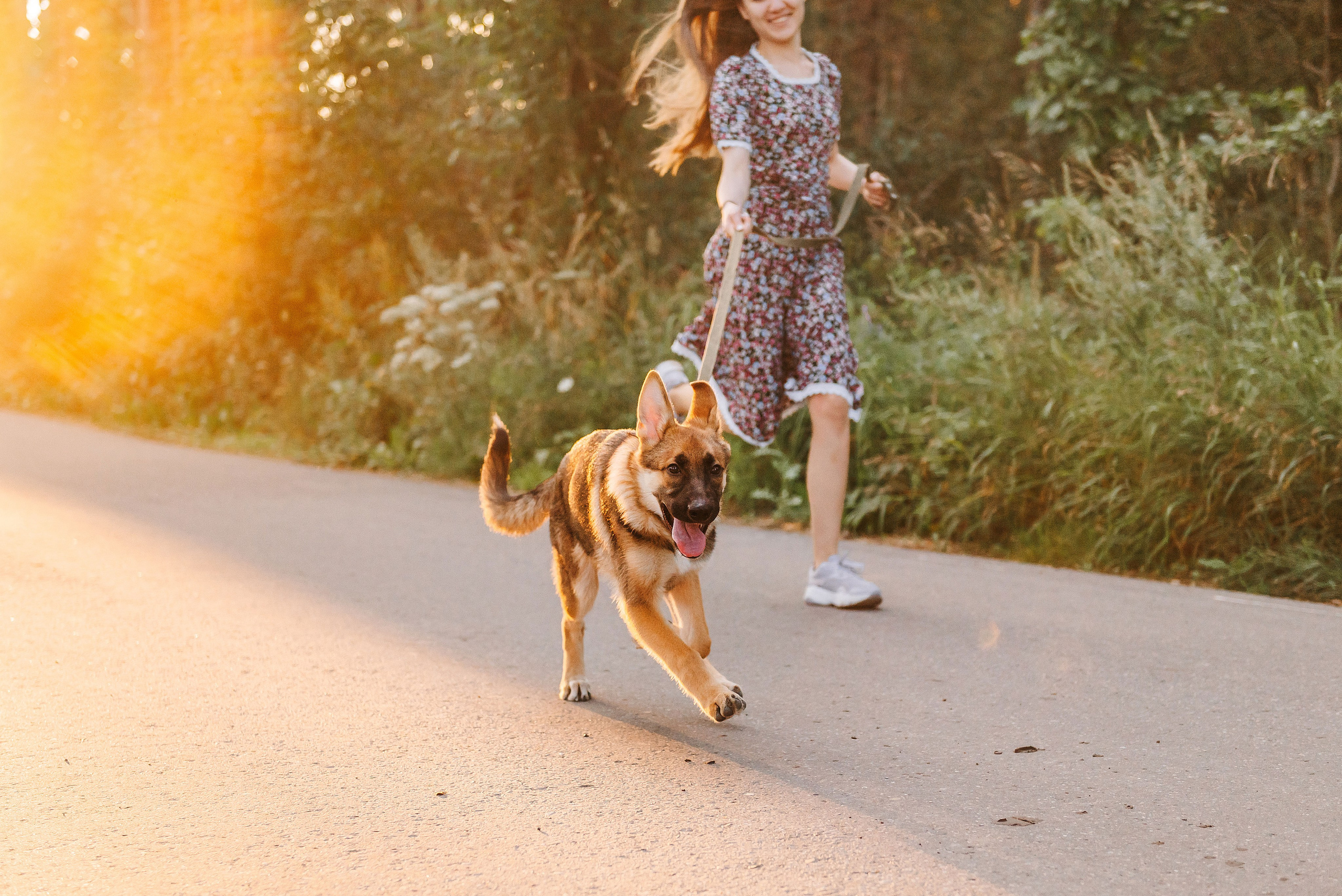 Эмир, Алсу и немецкая овчарка Рэй (Щелково, 2023). Анна Пушина, фотограф, Москва, Королев, Пушкино