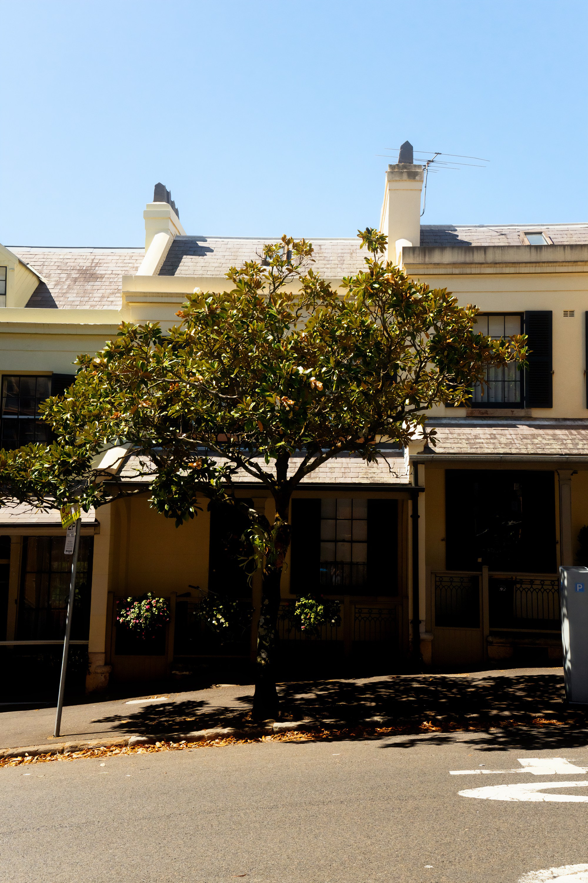 Австралия. Фотограф в Хабаровске. Фотография за 24 часа