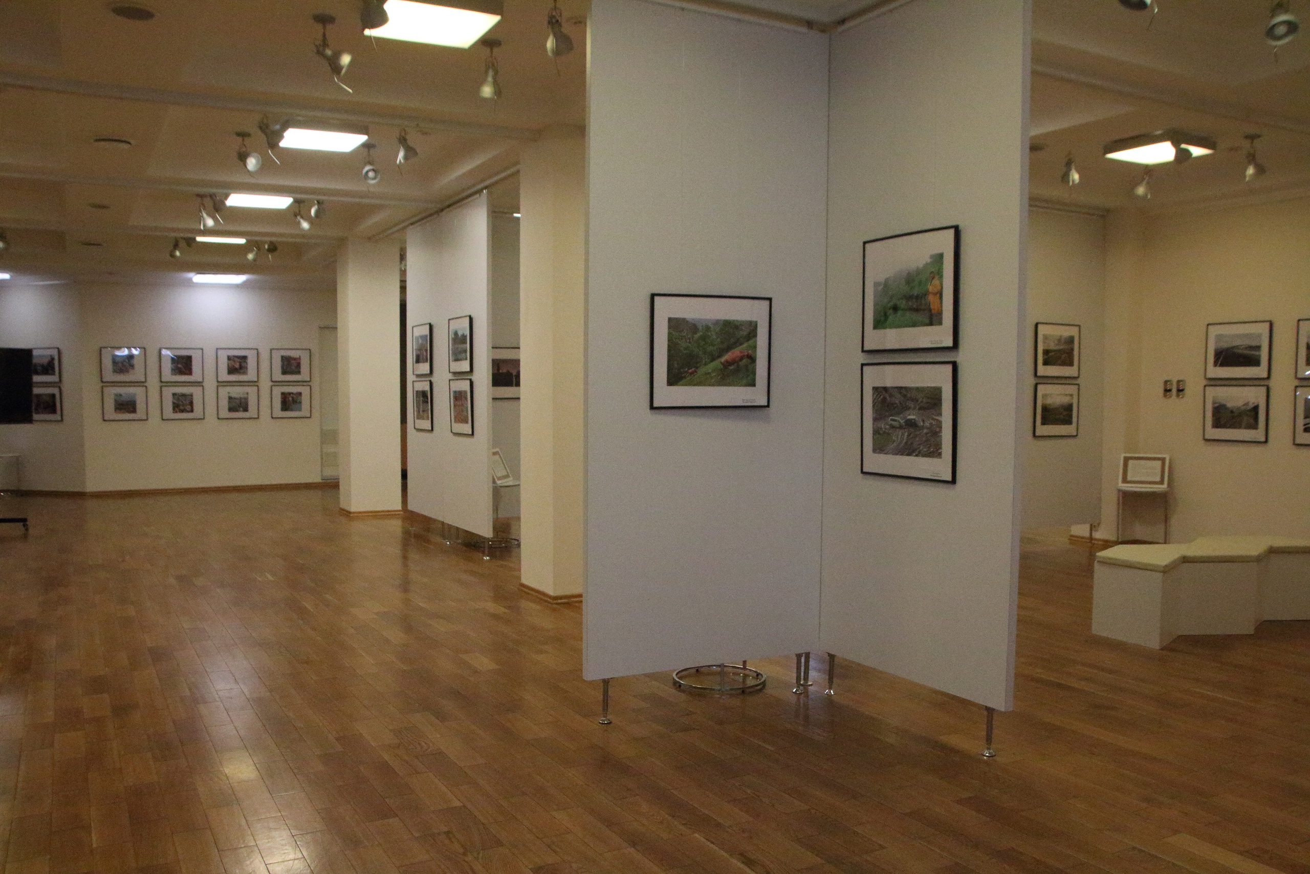 27.10.2019 Выставка Дороги, которые… Развеска. Фотообъединение Самарского областного отделения Союза журналистов России