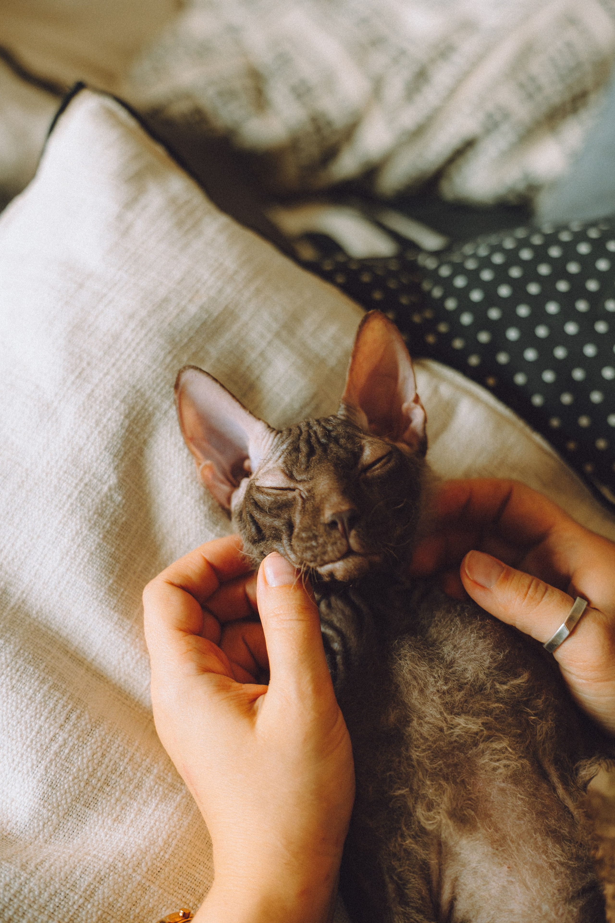 Кокос, Света, Динара и Вилли