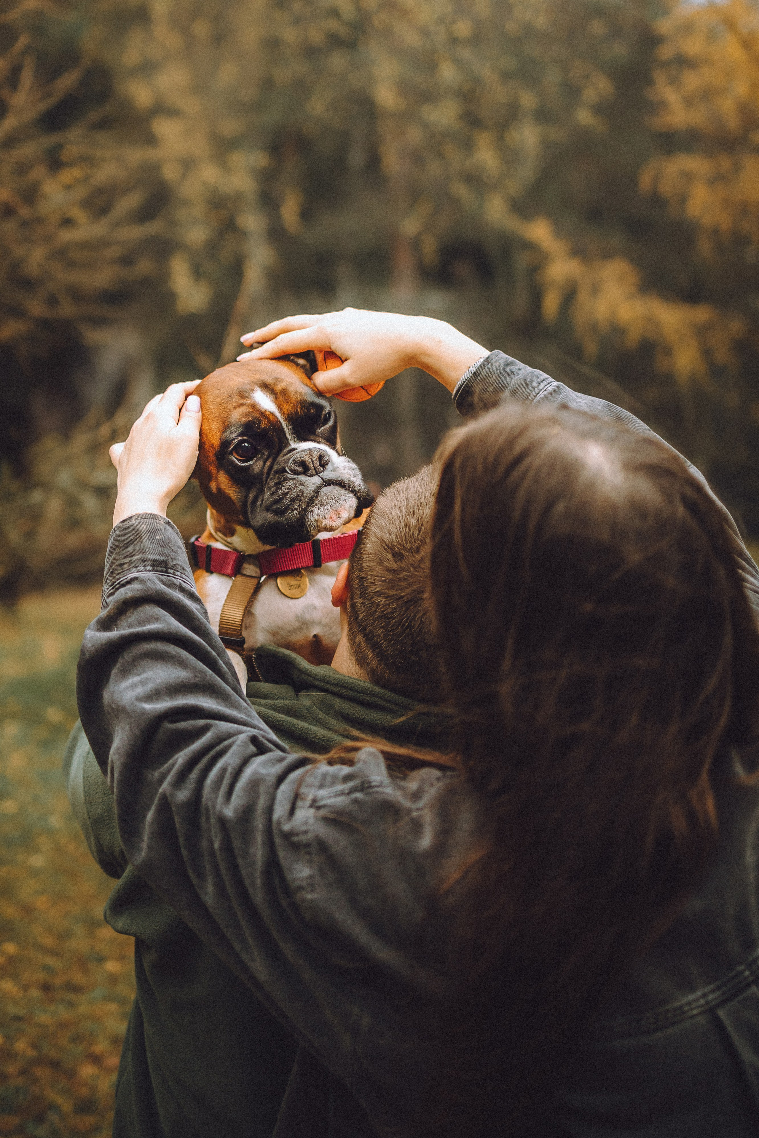 Элли и ее семья