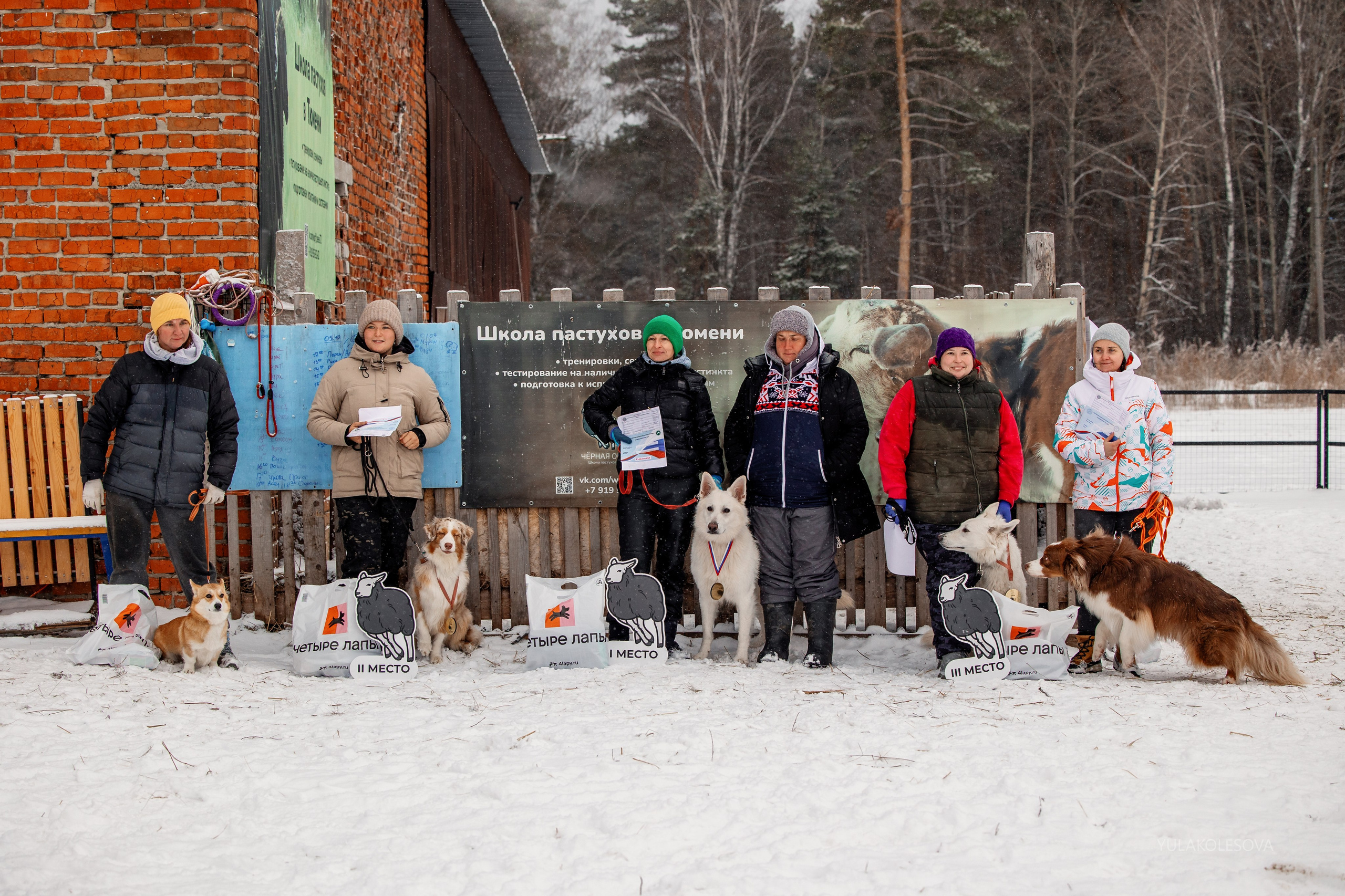 Пастуший интенсив, ноябрь 2024. YULA KOLESOVA | Фотограф — Анималист | Художник | Тюмень