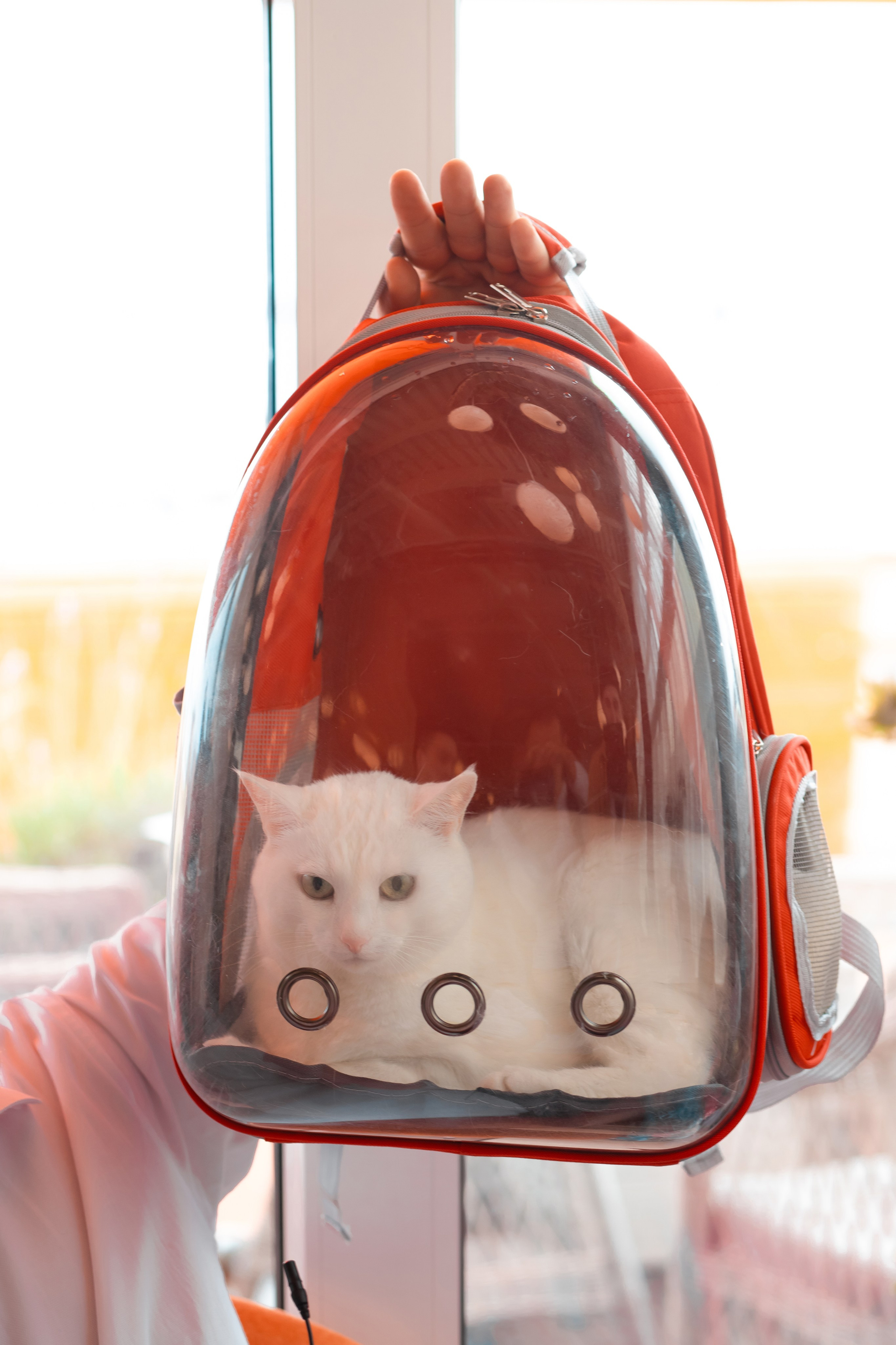 Семейная фотосессия. Фотограф и видеограф Иркутск, семейная фотосессия, фото для аватарки