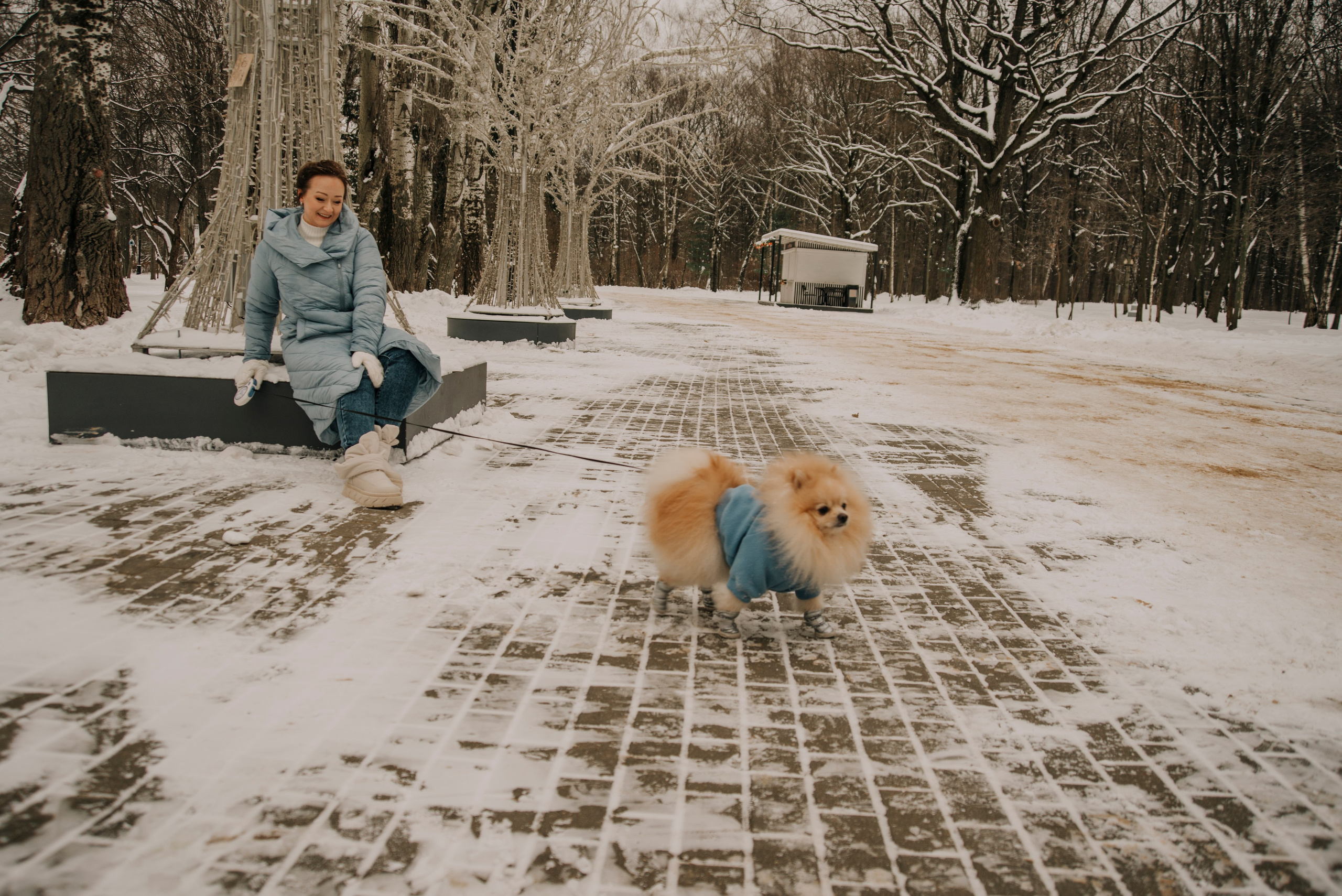 Зимняя фотосессия в парке с собакой. Фотограф Москва: тематическая фотосессия с подбором образа
