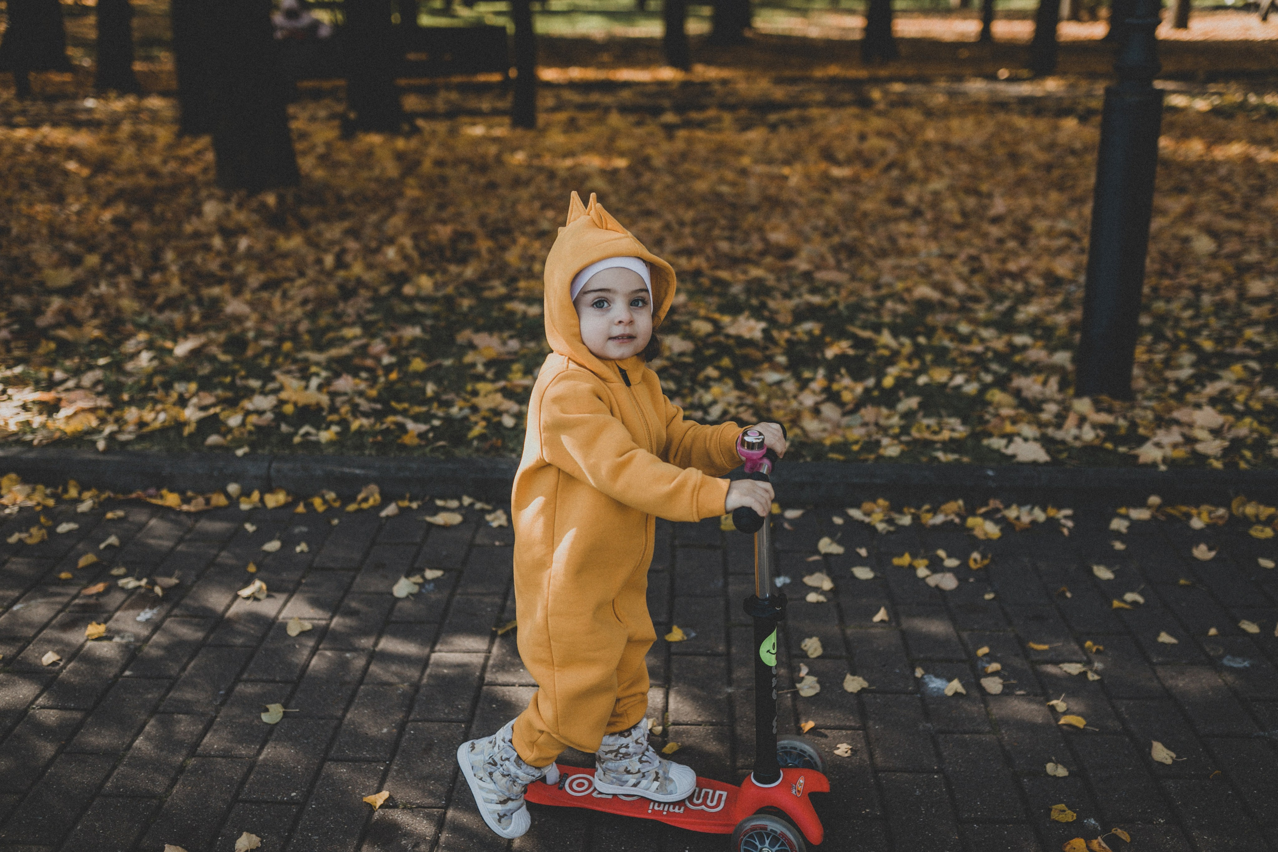 КОГДА ДЕРЕВЬЯ БЫЛИ БОЛЬШИМИ. Фотограф Лебедева Наталья