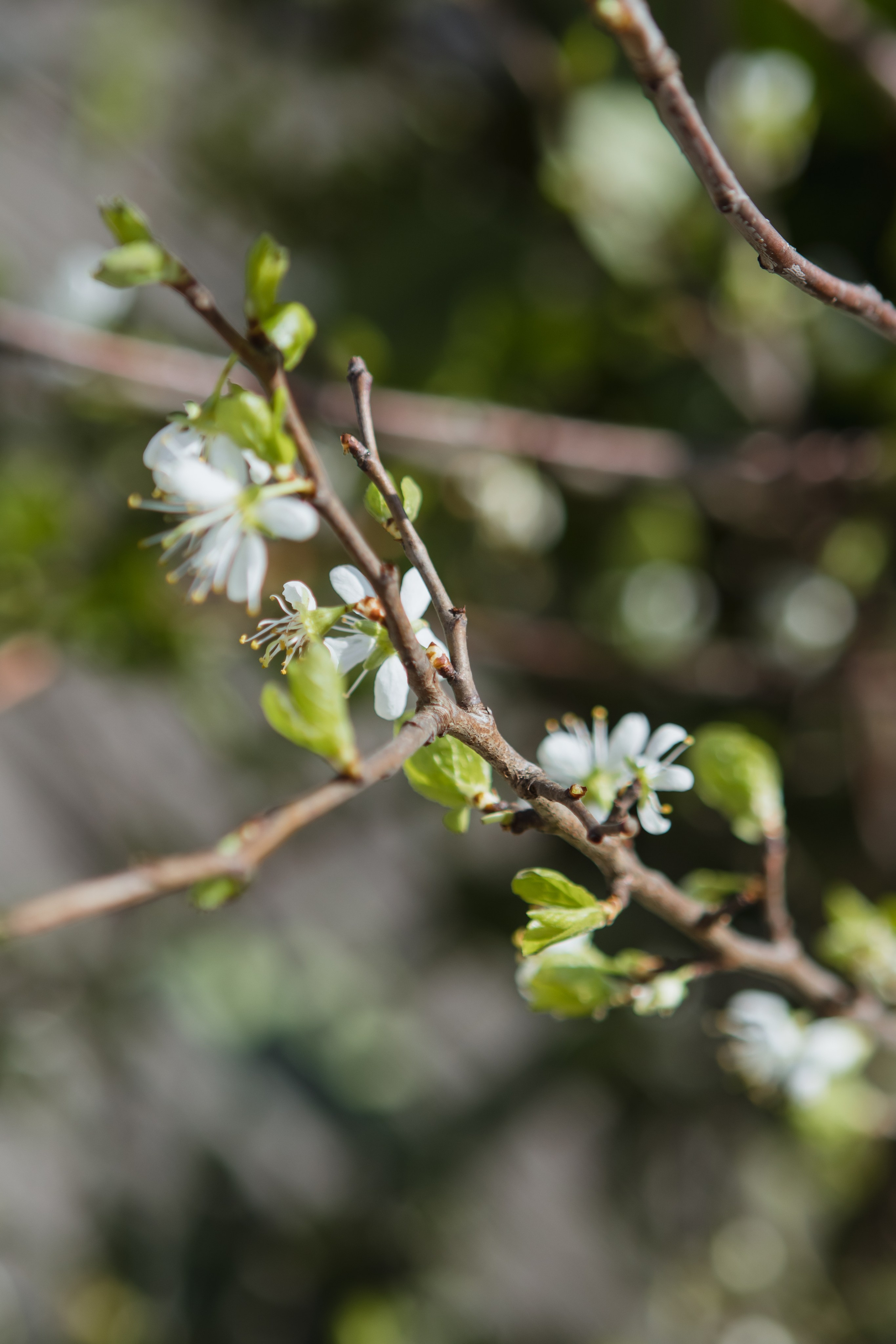 Александр & Соня. Свадебный и женский фотограф в Москве