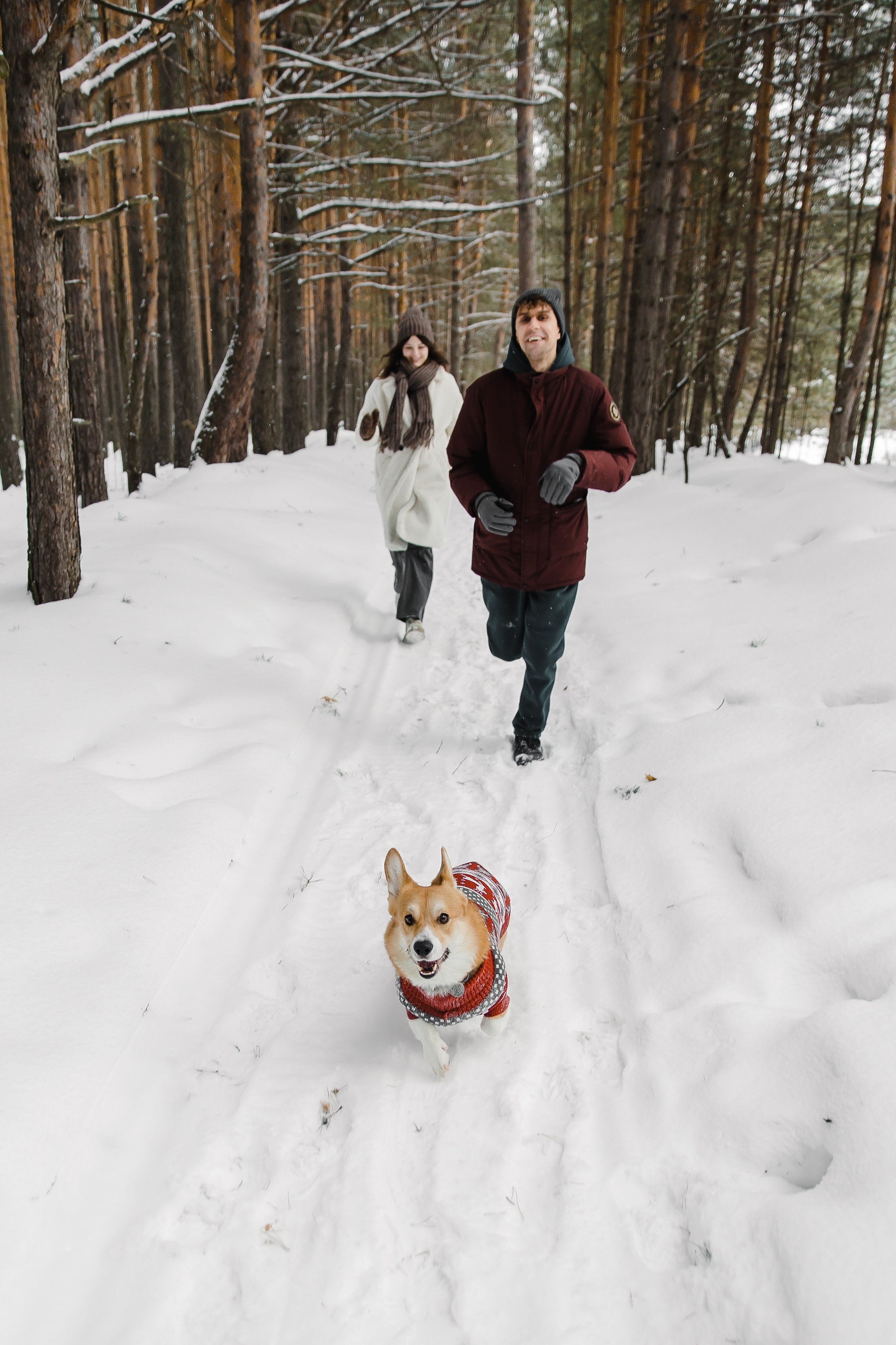 Дима и Даша. Свадебный и семейный фотограф в Томске Алексей