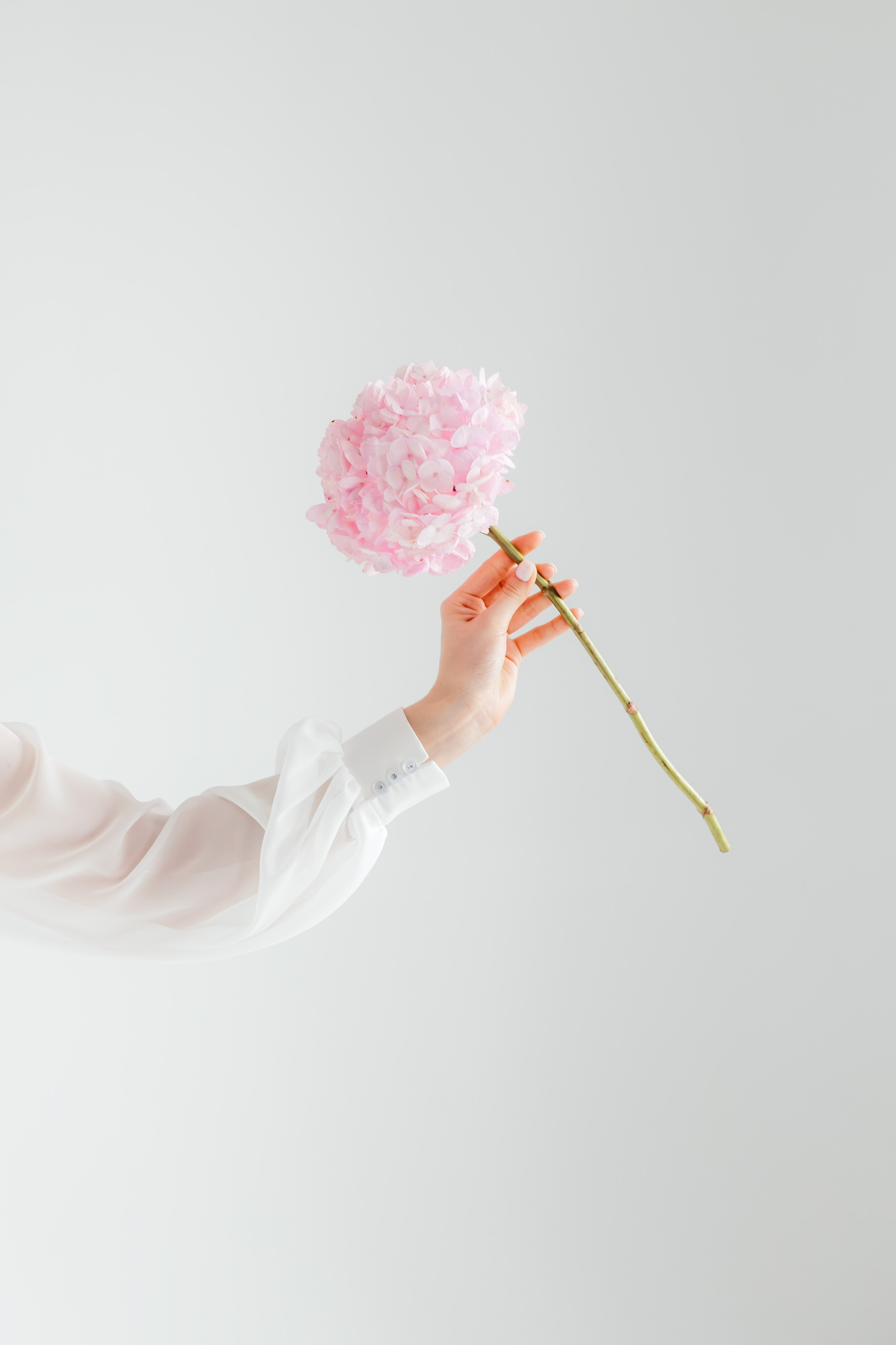 Свадебный фотограф в Тихорецке. Свадебный и семейный фотограф в Краснодарском крае Мария Данилкина