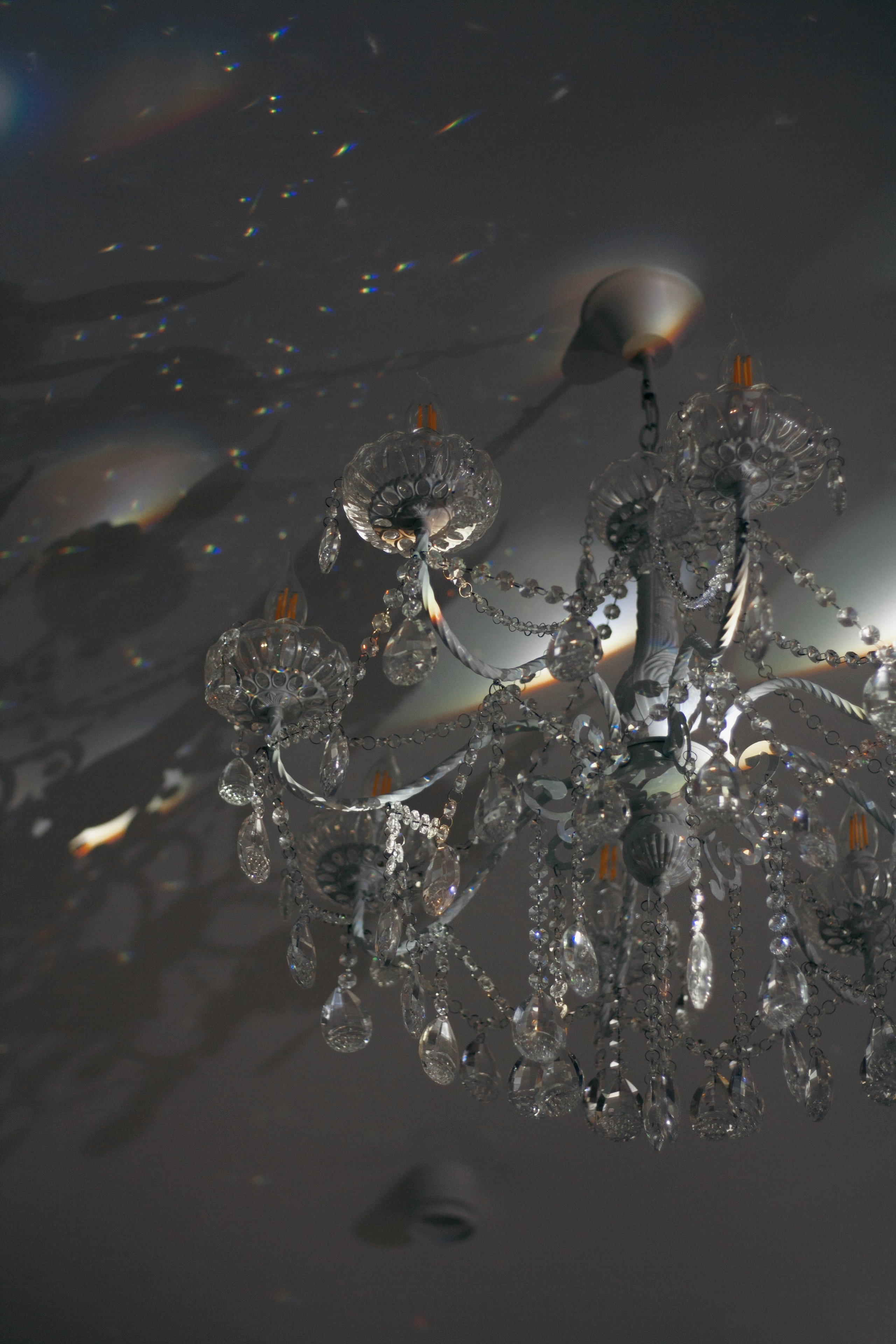 💕История Алины и Михаила💕. Портретный фотограф в Саратове