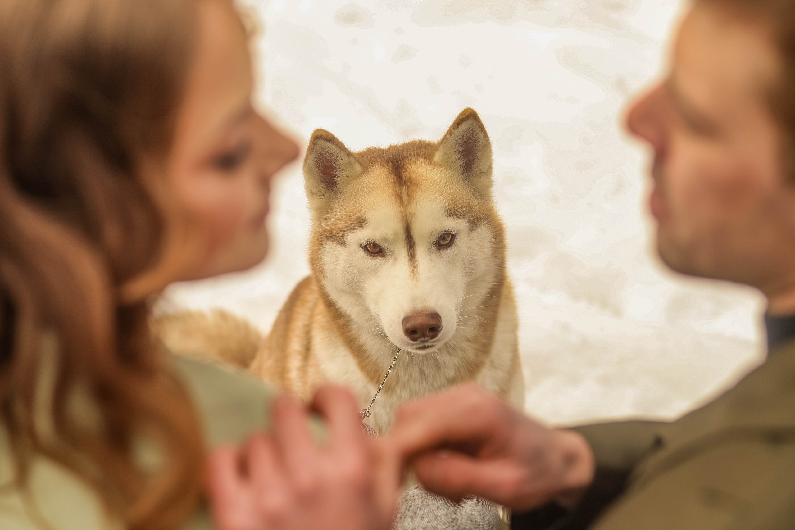 Лавстори. Семейный свадебный интерьерный фотограф Тверь Санкт- Марина Свистунова