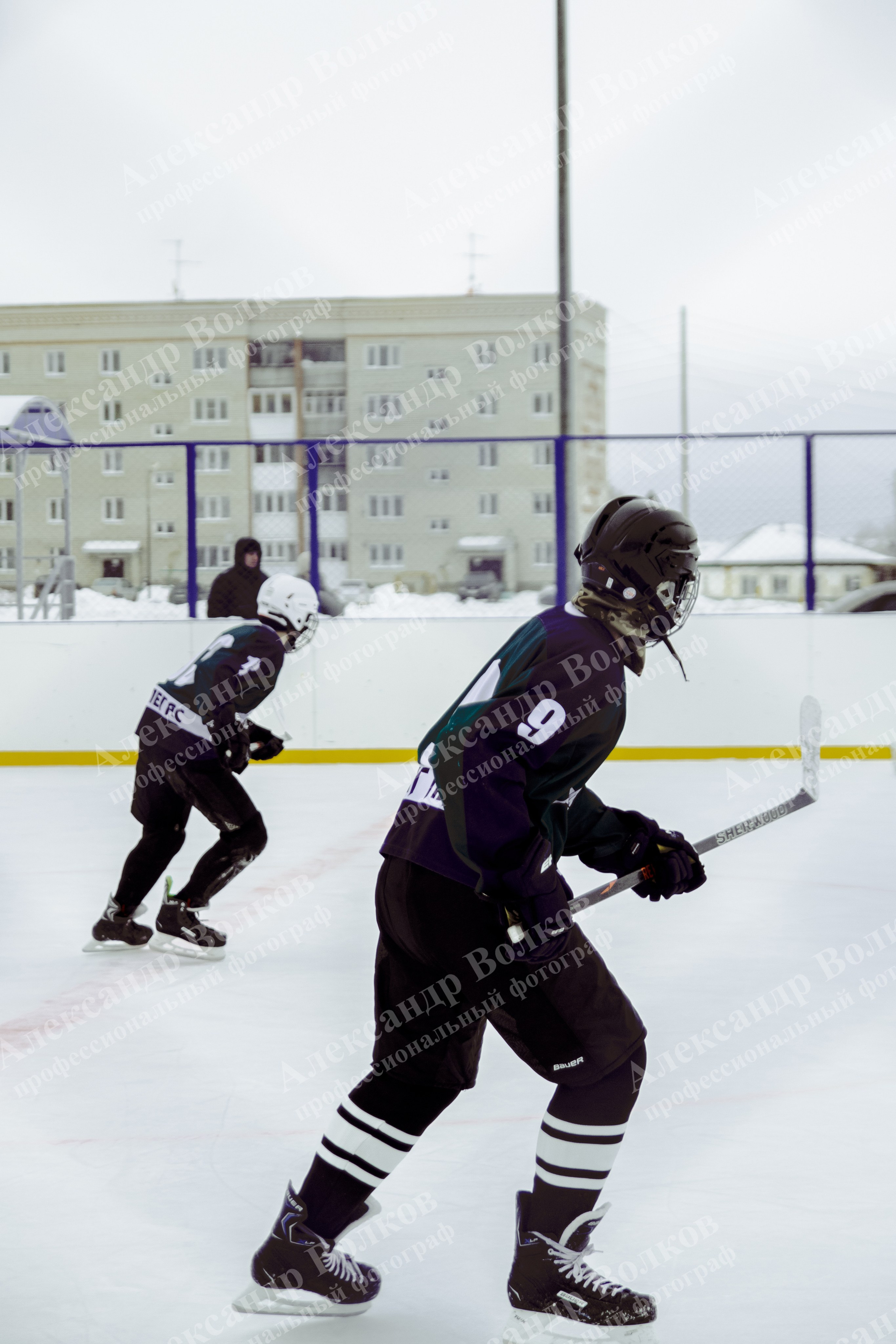 Хоккей 29.12.2024