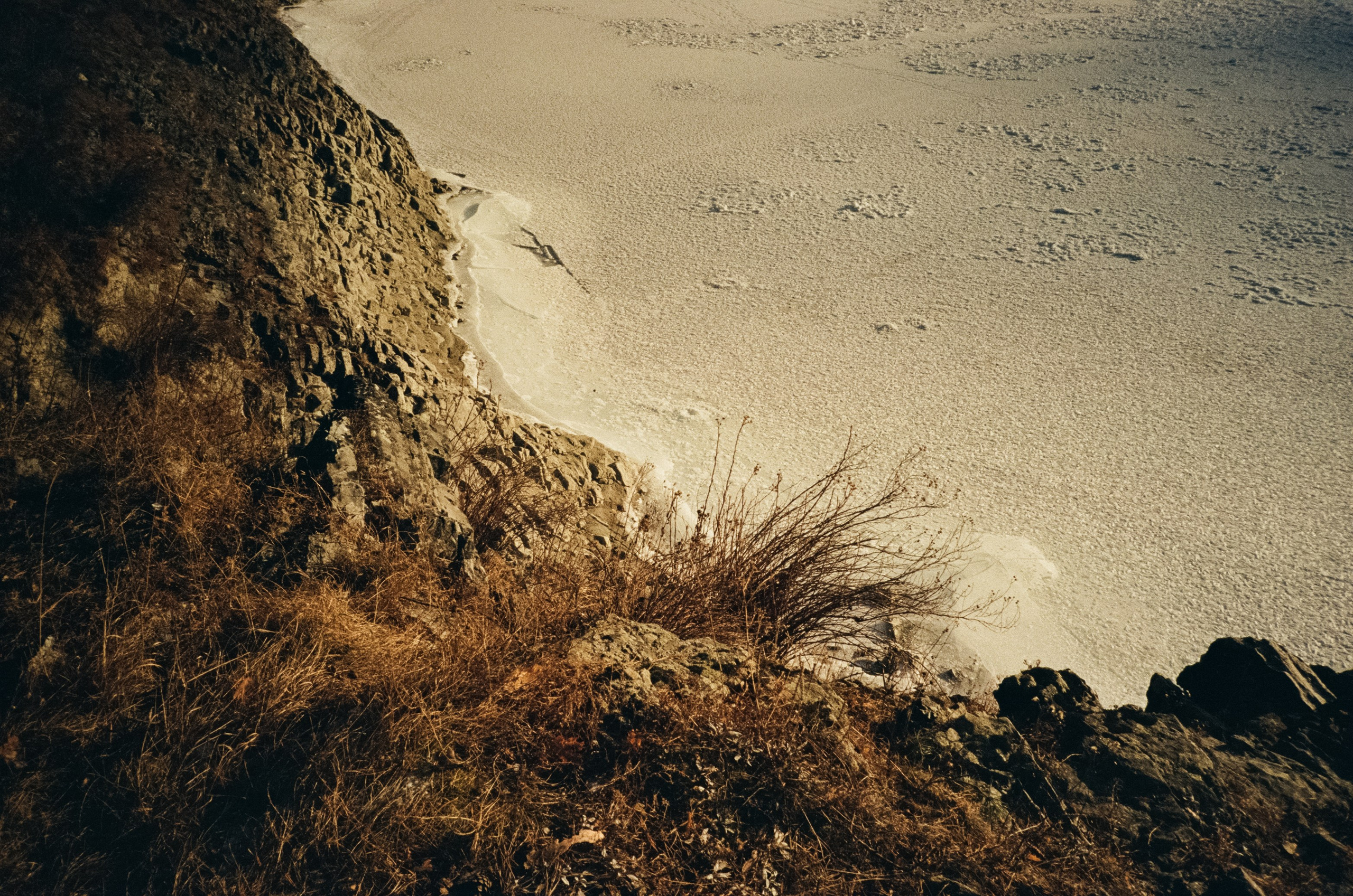 Кедровый остров и Семинская поляна в солнечный день. Фотограф-документалист Мария Осокина