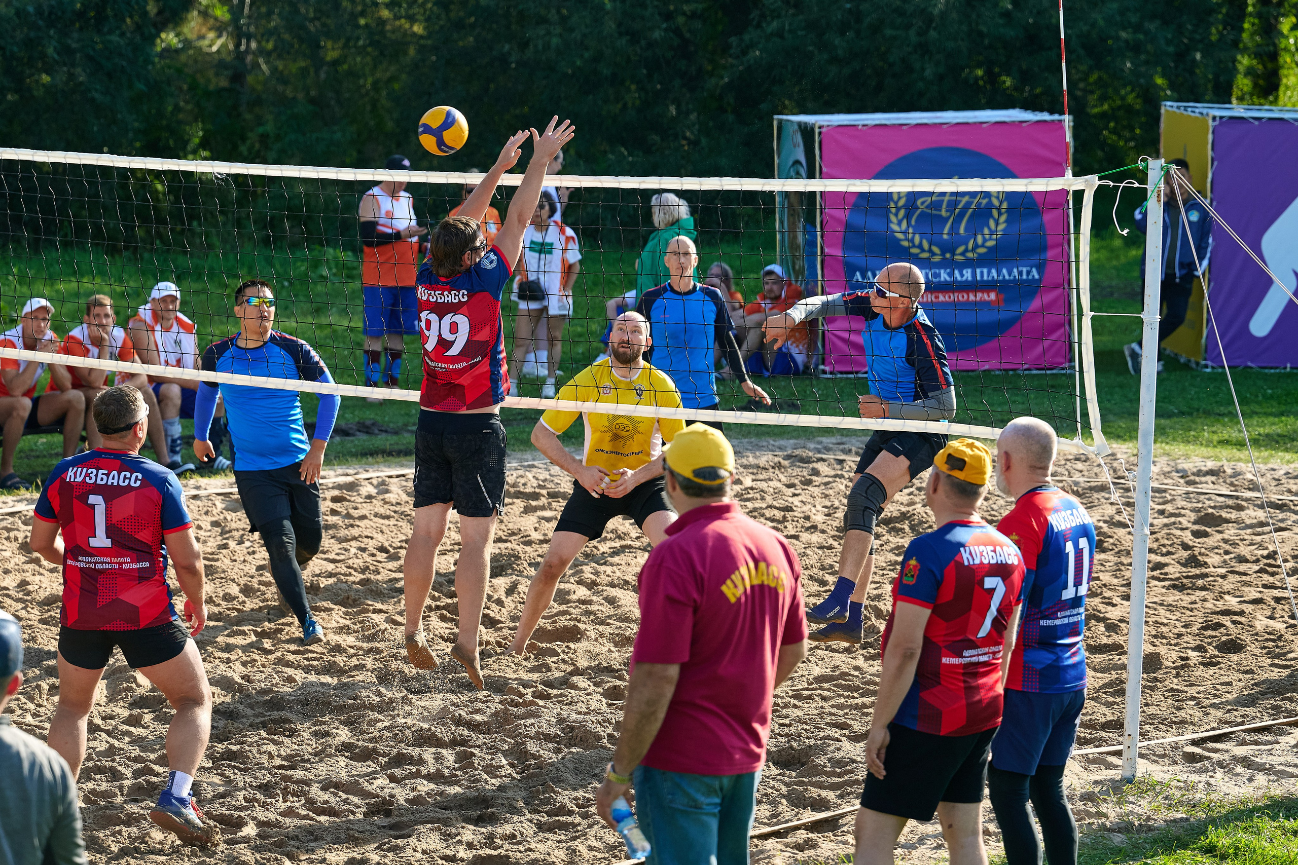 Спартакиада. Адвокаты. Фотограф Опыт Качество Скорость Горный Алтай Барнаул