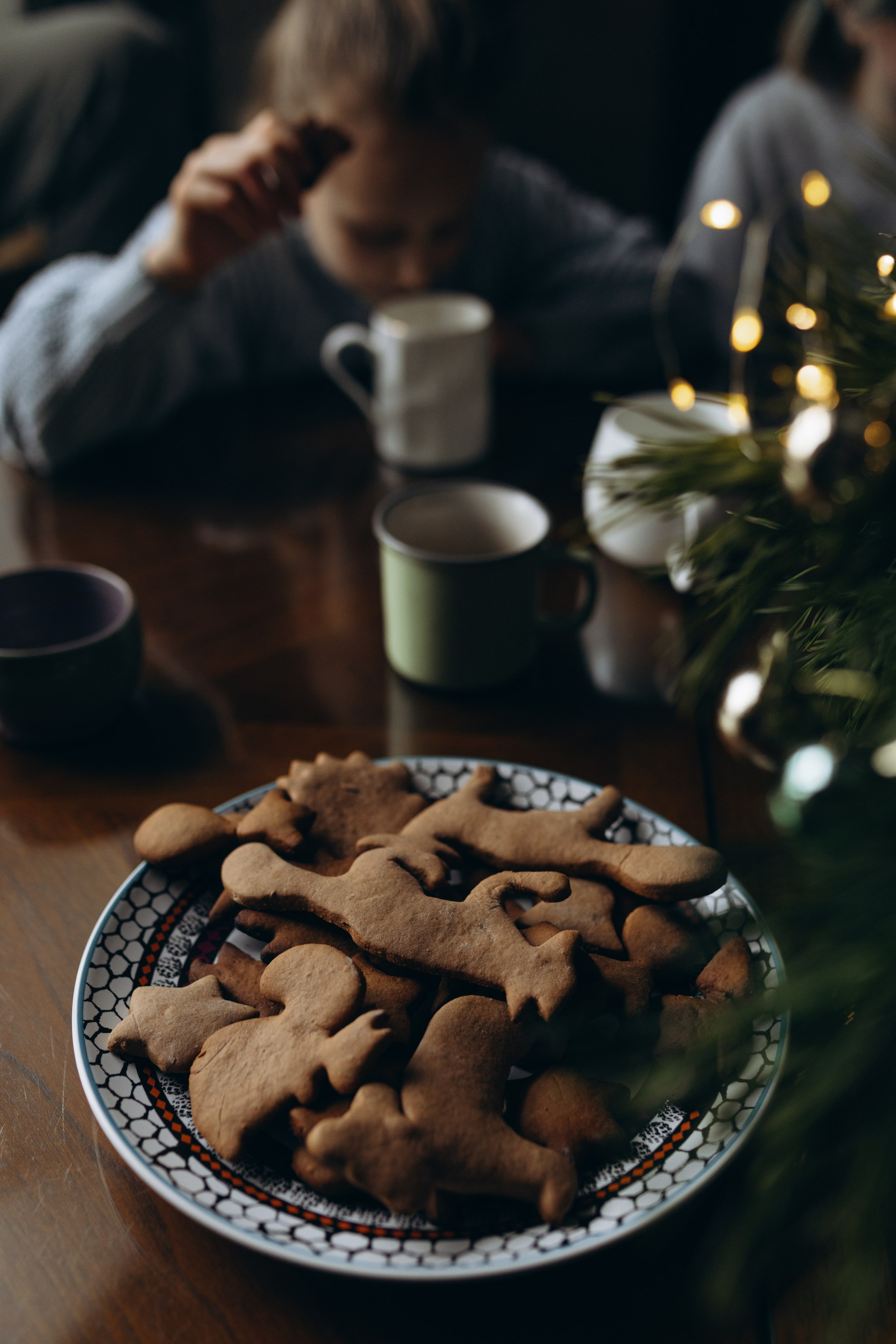 Печеньки. Фотограф Людмила Оюн