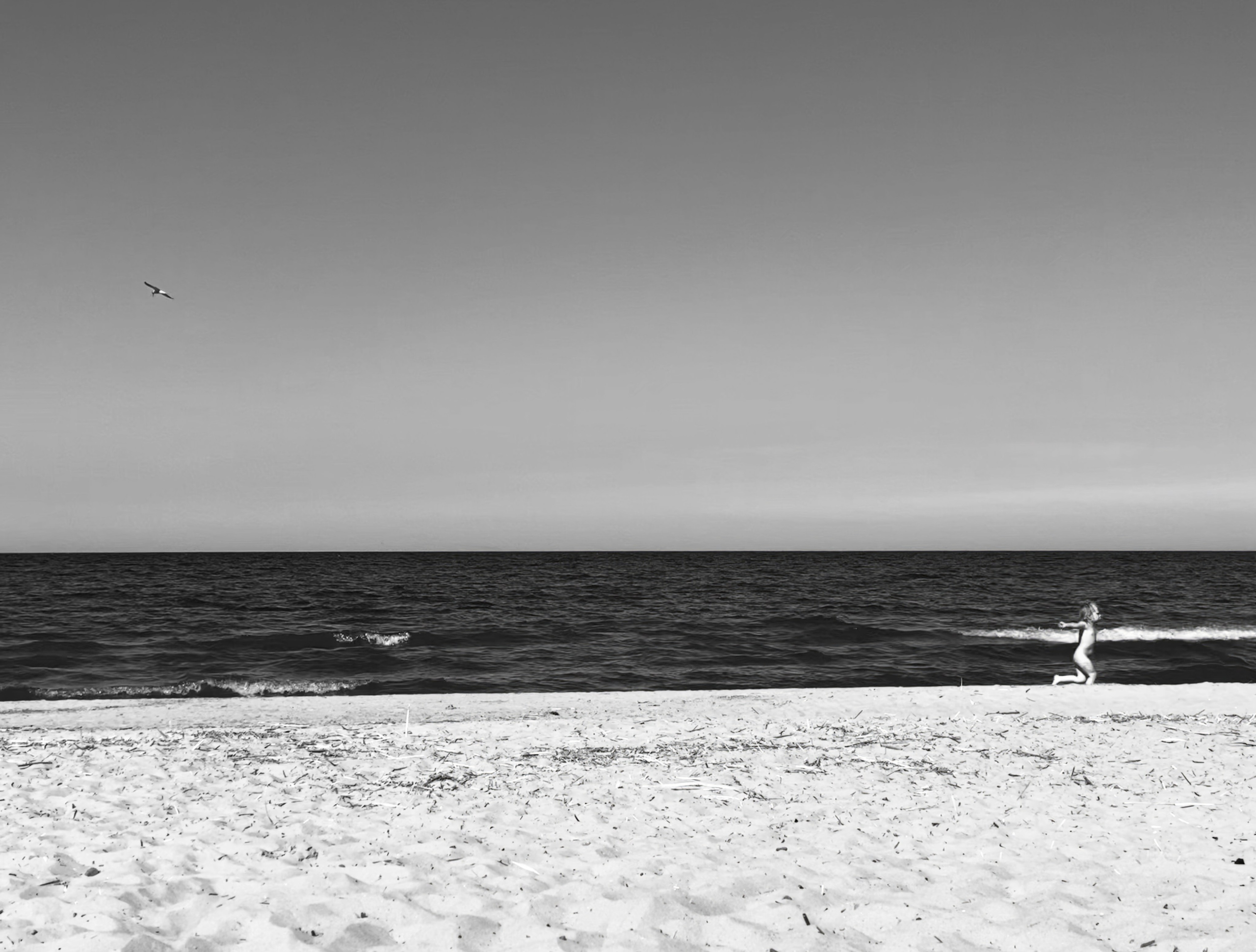 Решающий момент — авторская фотография Ма. Ма