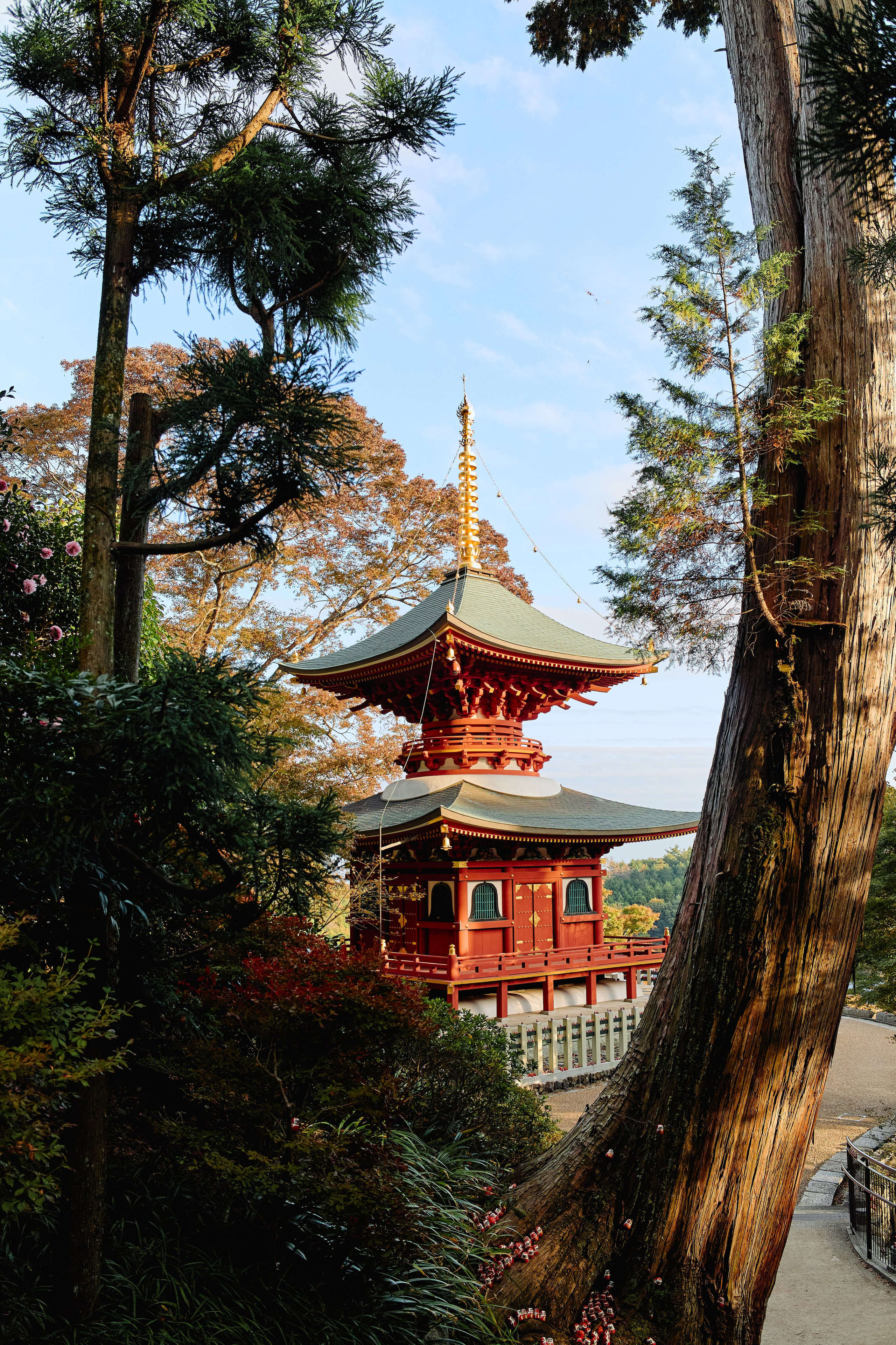 Япония. Профессиональный Фотограф во Владимире, в Москве и в Суздале — Полина Романычева