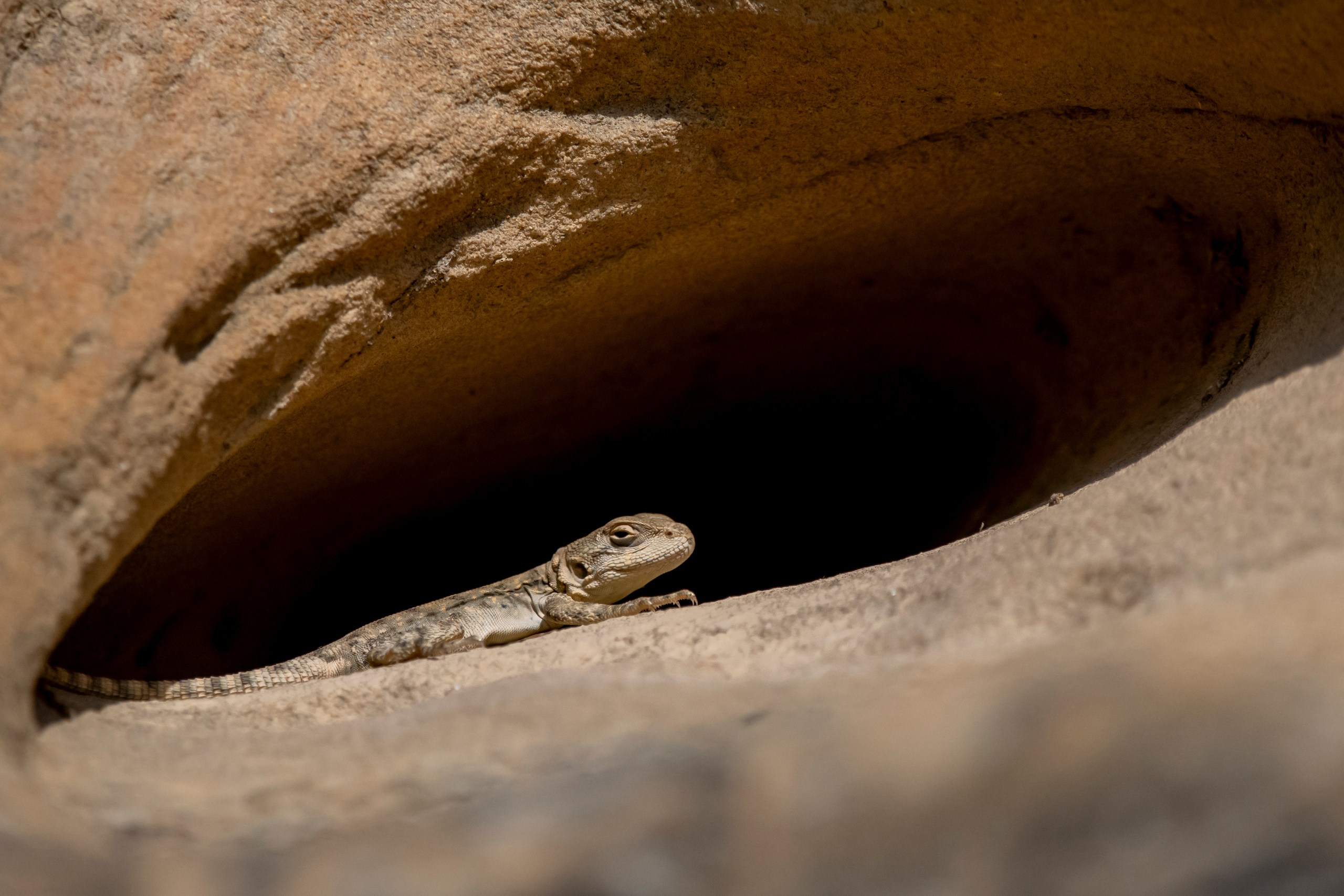 Природа Дагестана, сентябрь 2024. Foto-Zuev фотография как искусство