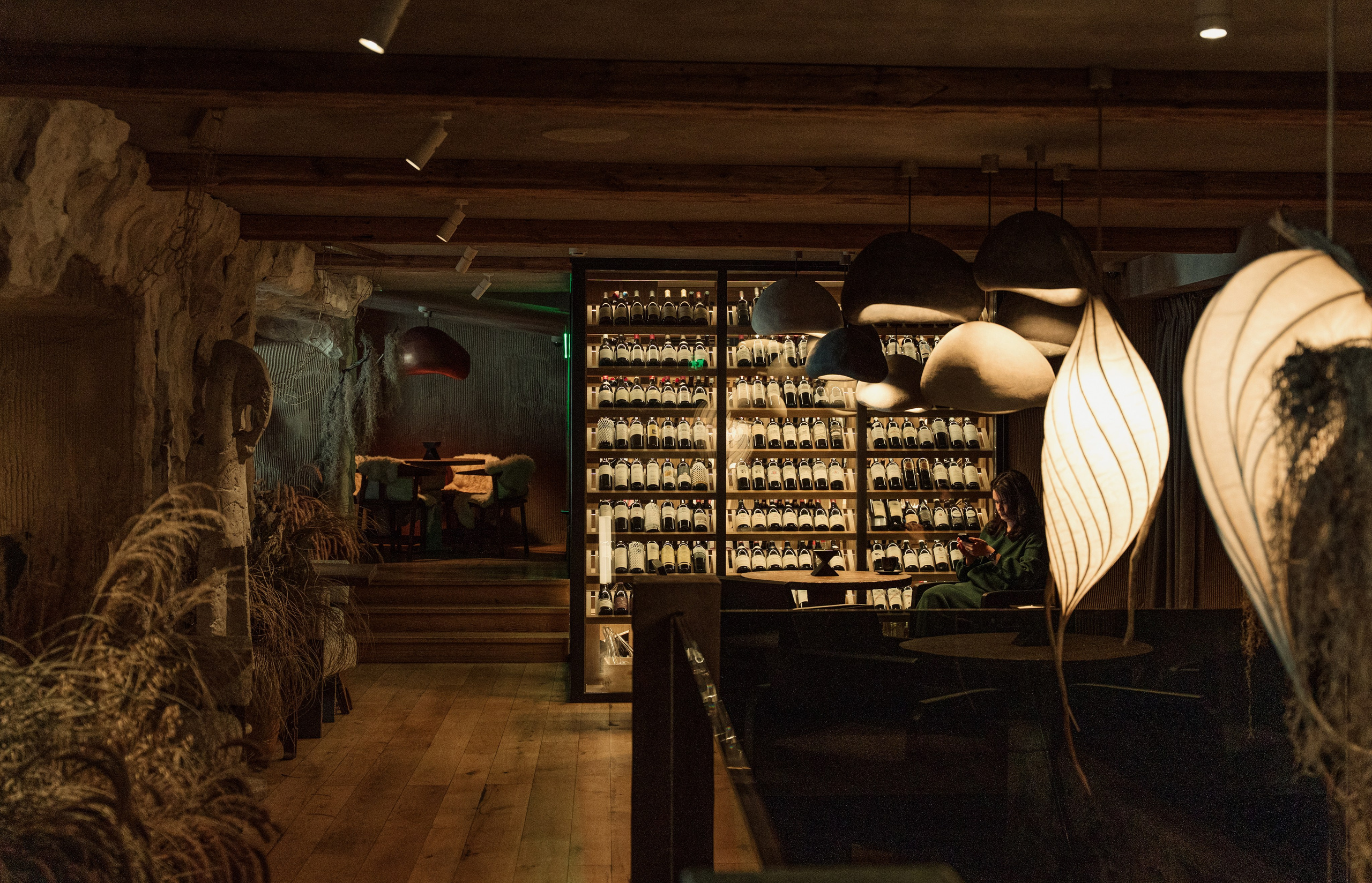 MAYR VEDA. Yankovski_001