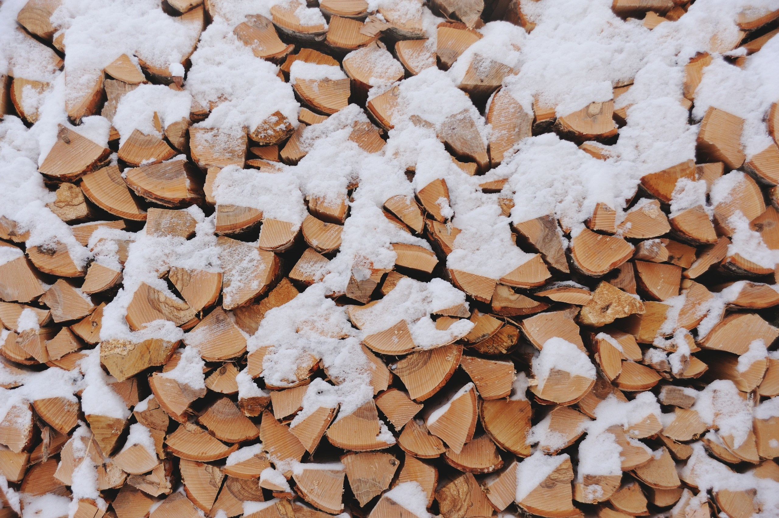 Сказки Севера. Катерина Михеева