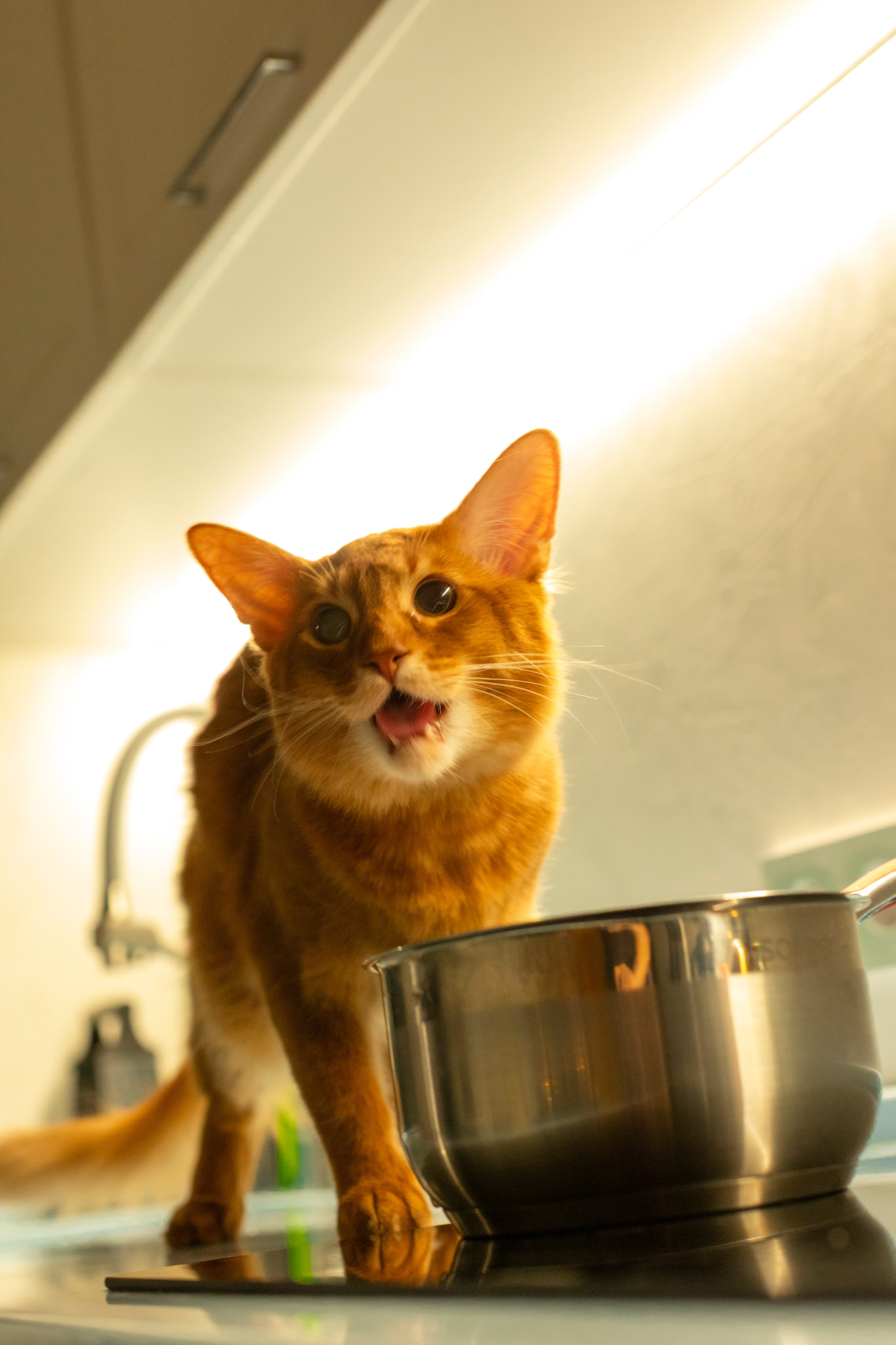 Сомали. Art my Pho