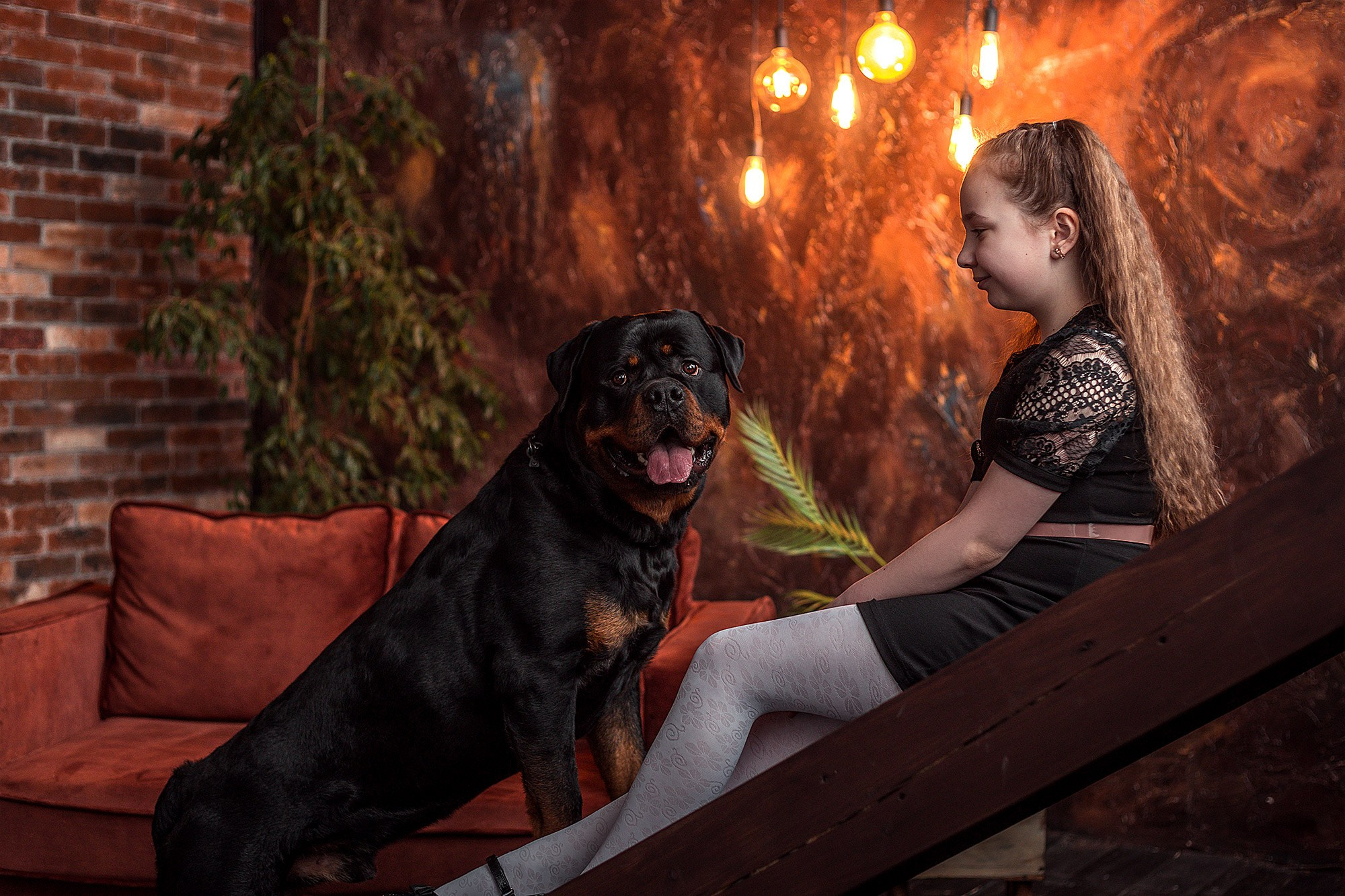 Ротвейлер. Студия. Фотограф анималист Кузнецова Анна Нижний Новгород